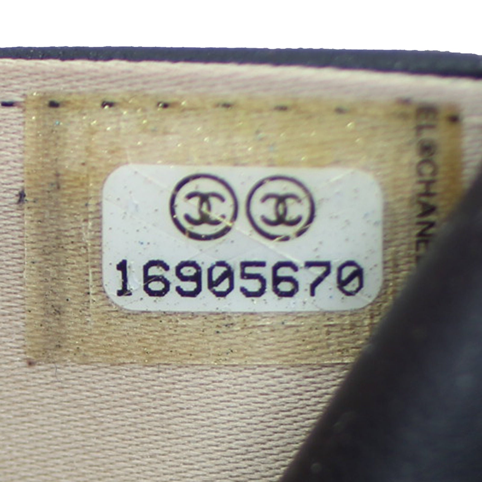 Chanel Camellia Wallet on Chain