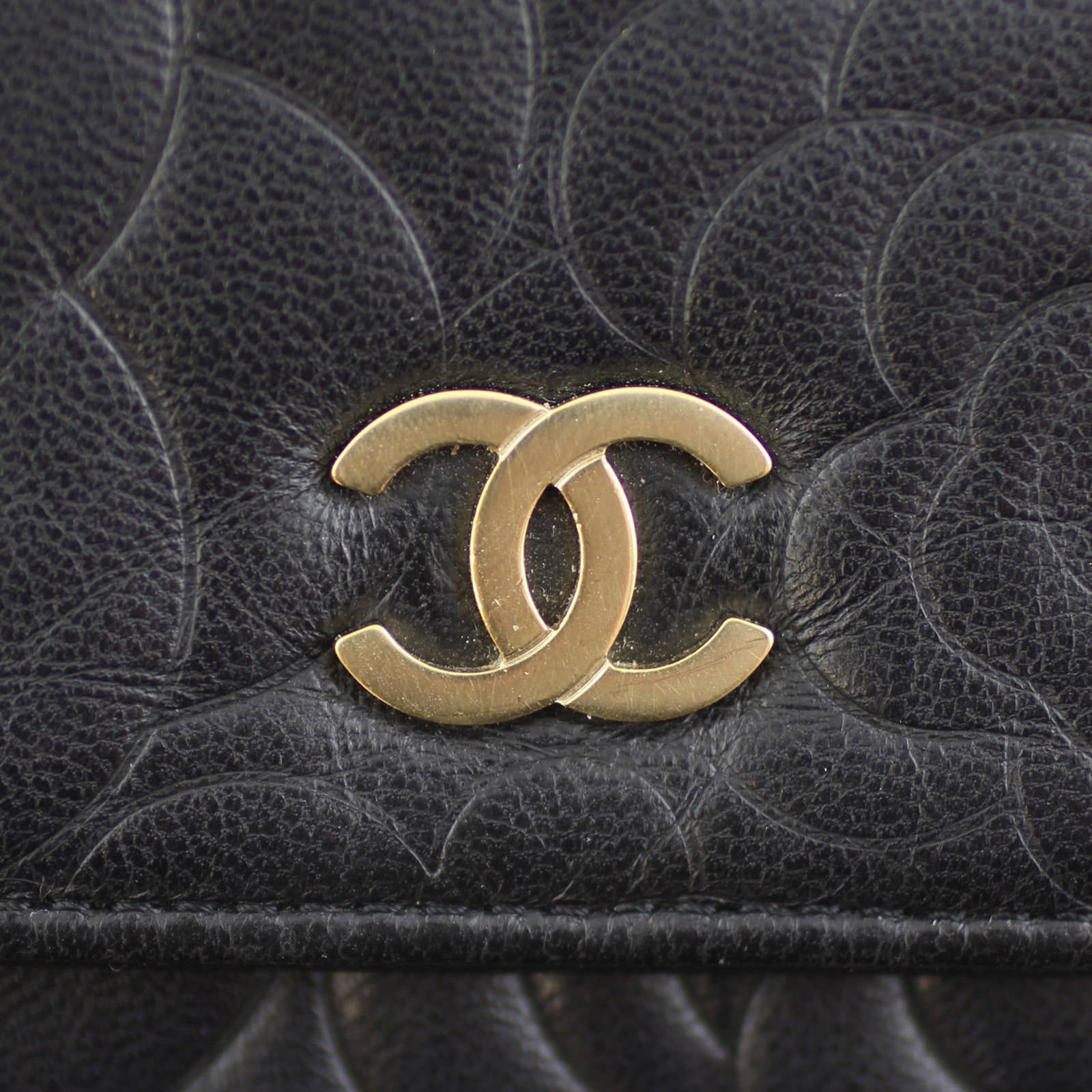 Chanel Camellia Wallet on Chain