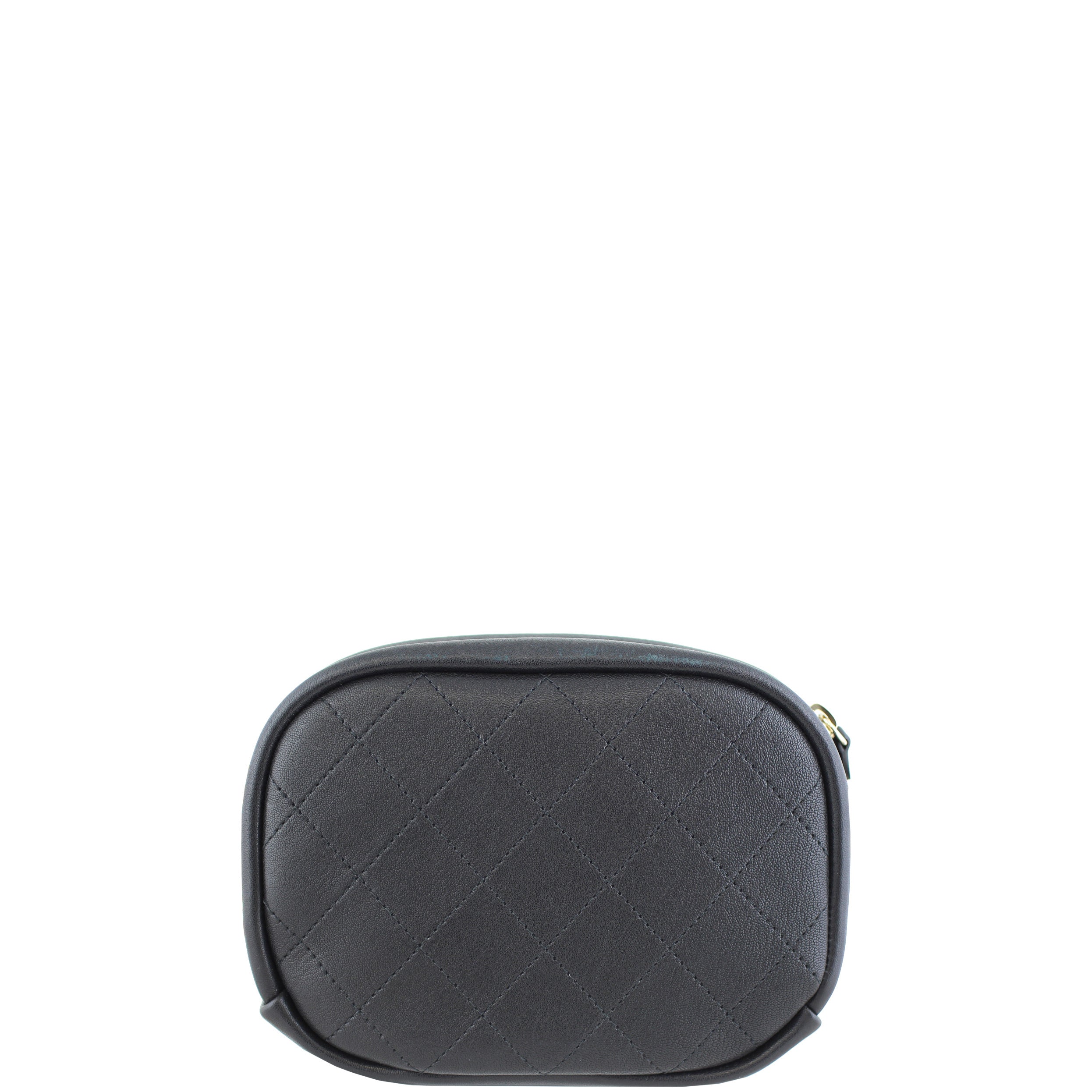 Chanel Classic Camera Case