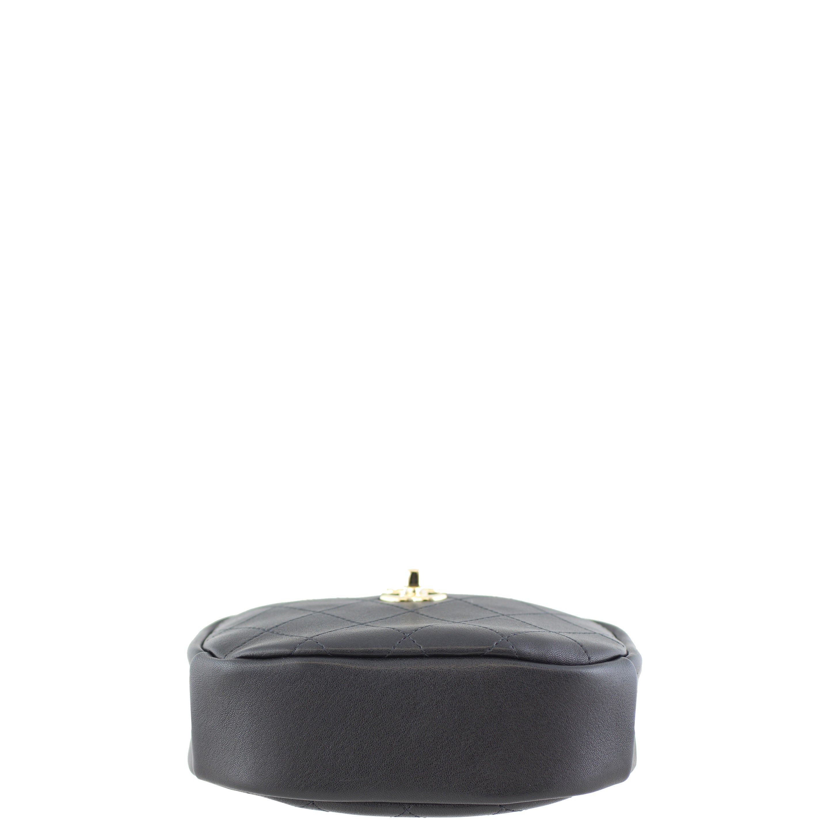 Chanel Classic Camera Case