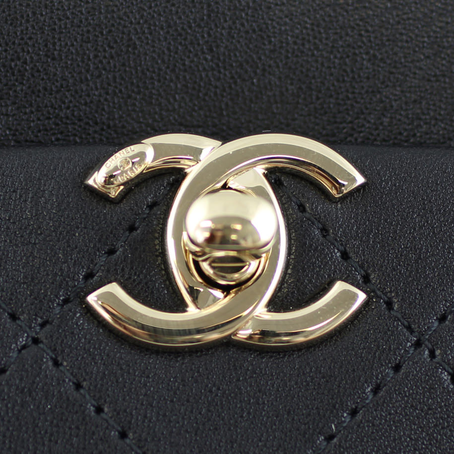 Chanel Classic Camera Case