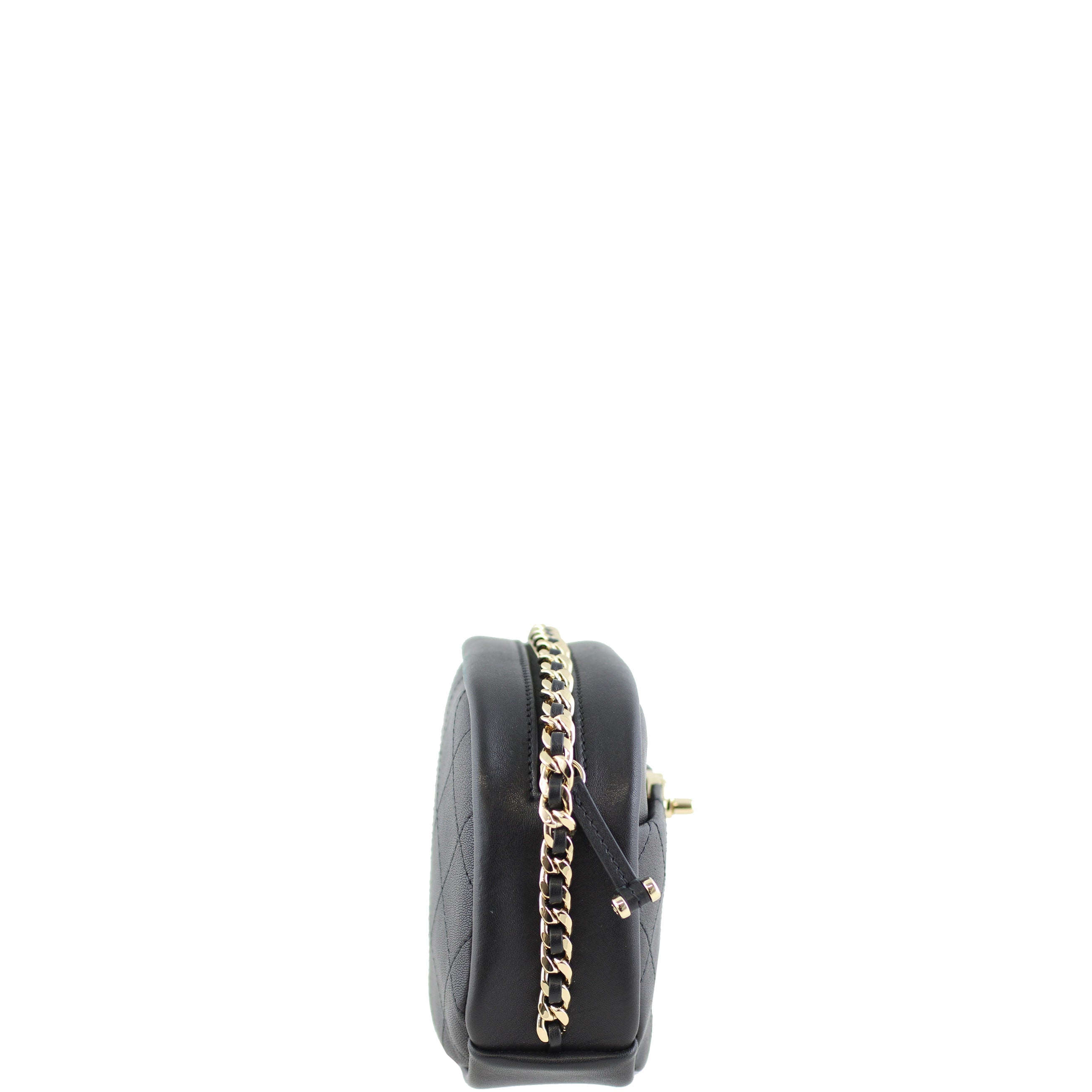 Chanel Classic Camera Case