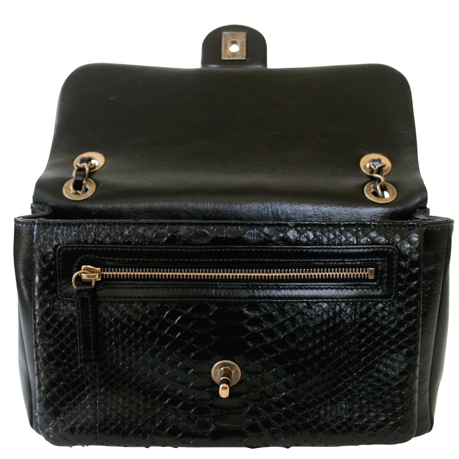 Chanel Python Flap Bag