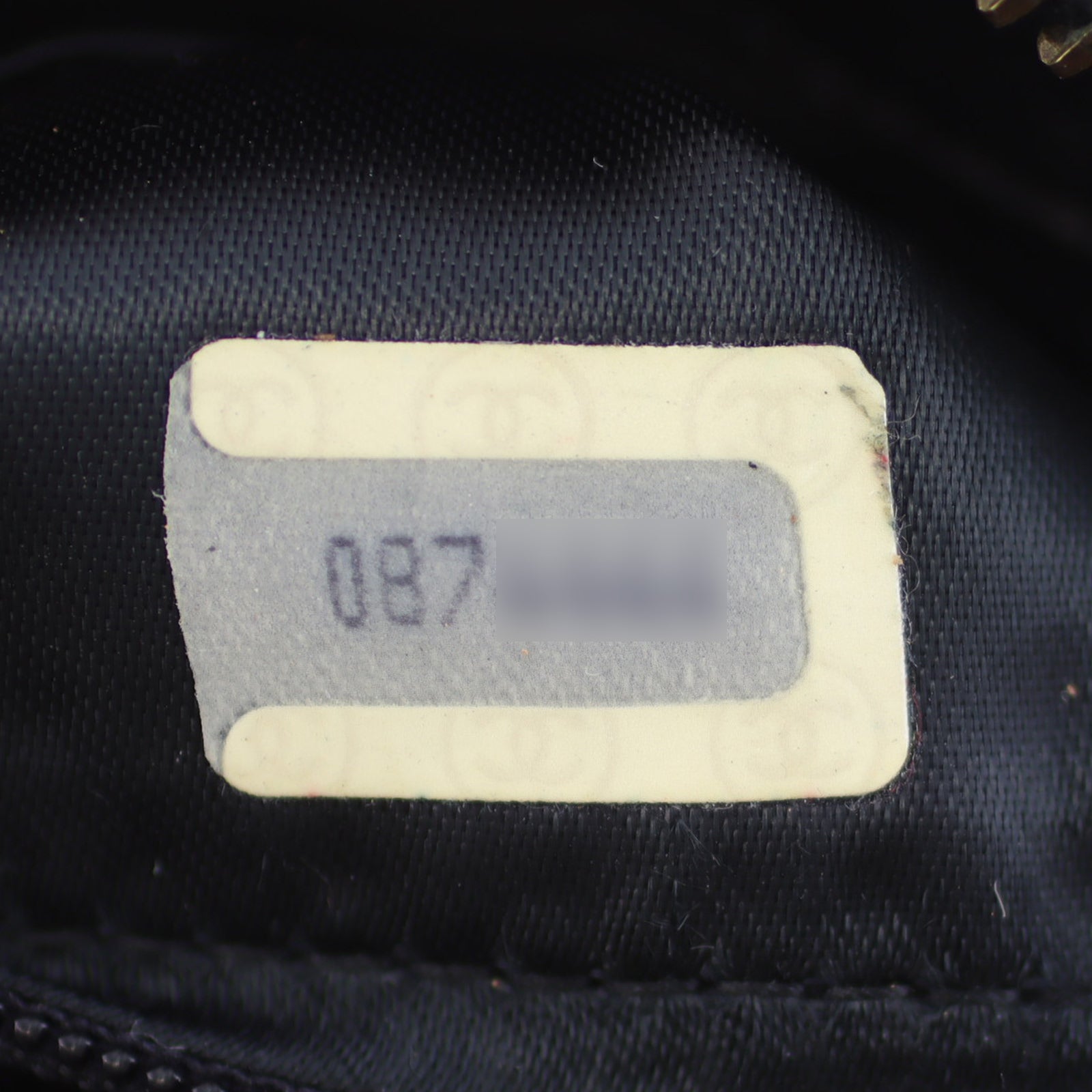 Chanel Tassel Camera Bag