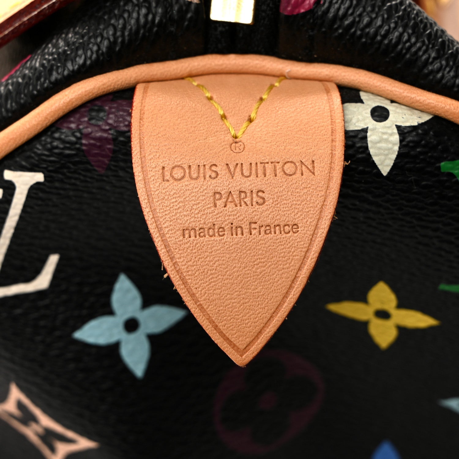 Monogram Multicolor Speedy 30 Black