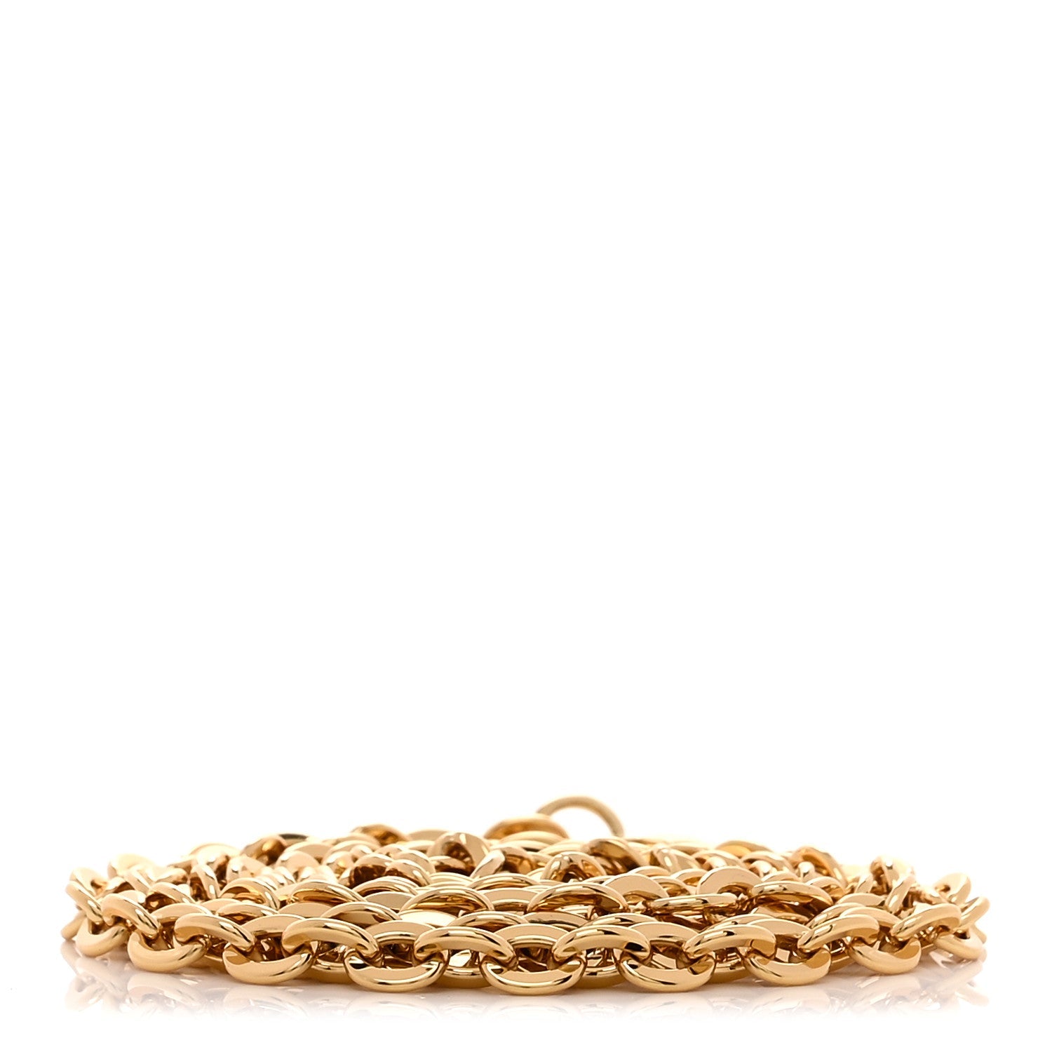 Felicie Chain Long Shoulder Strap