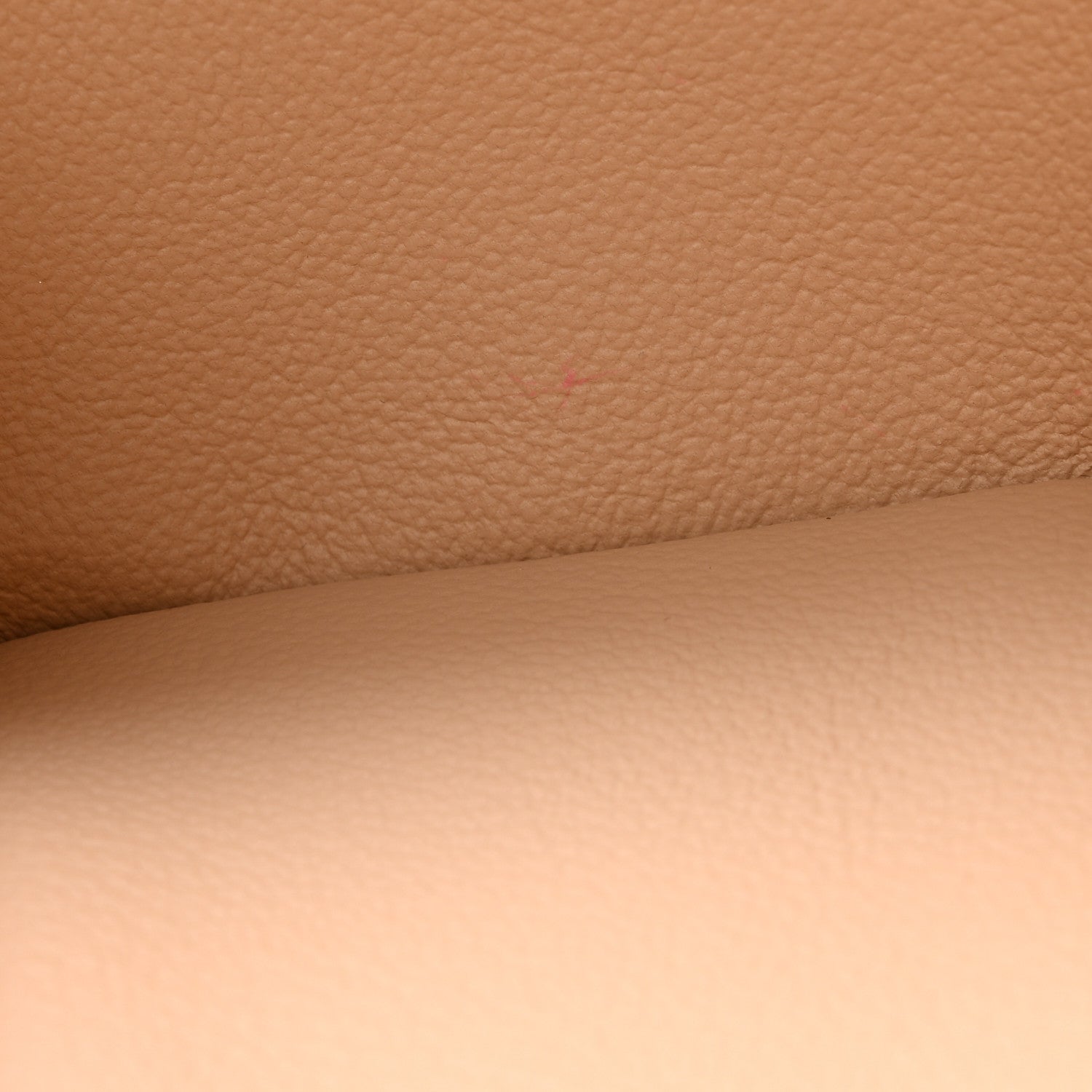 Monogram Nice Mini