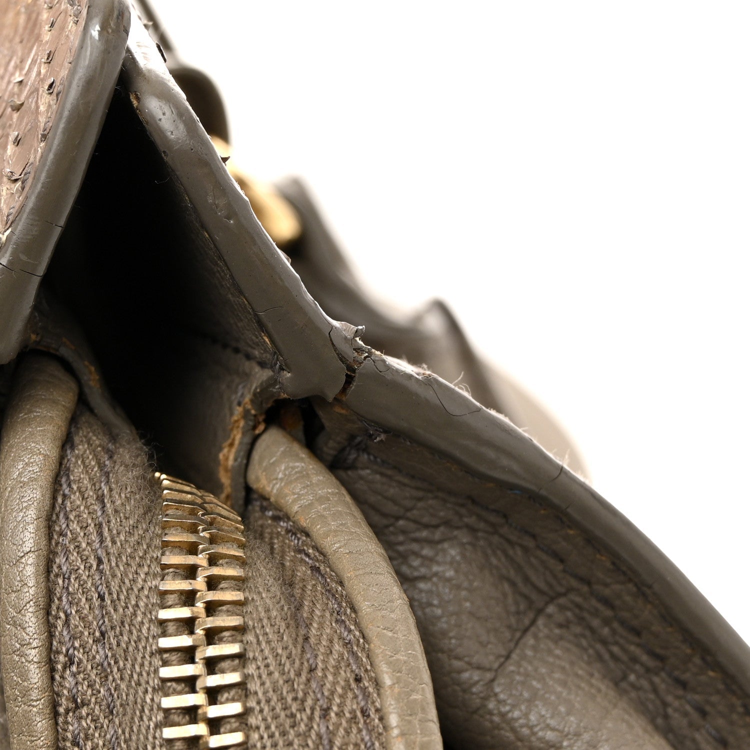 Calfskin Snakeskin Medium Cabas Chyc Beige