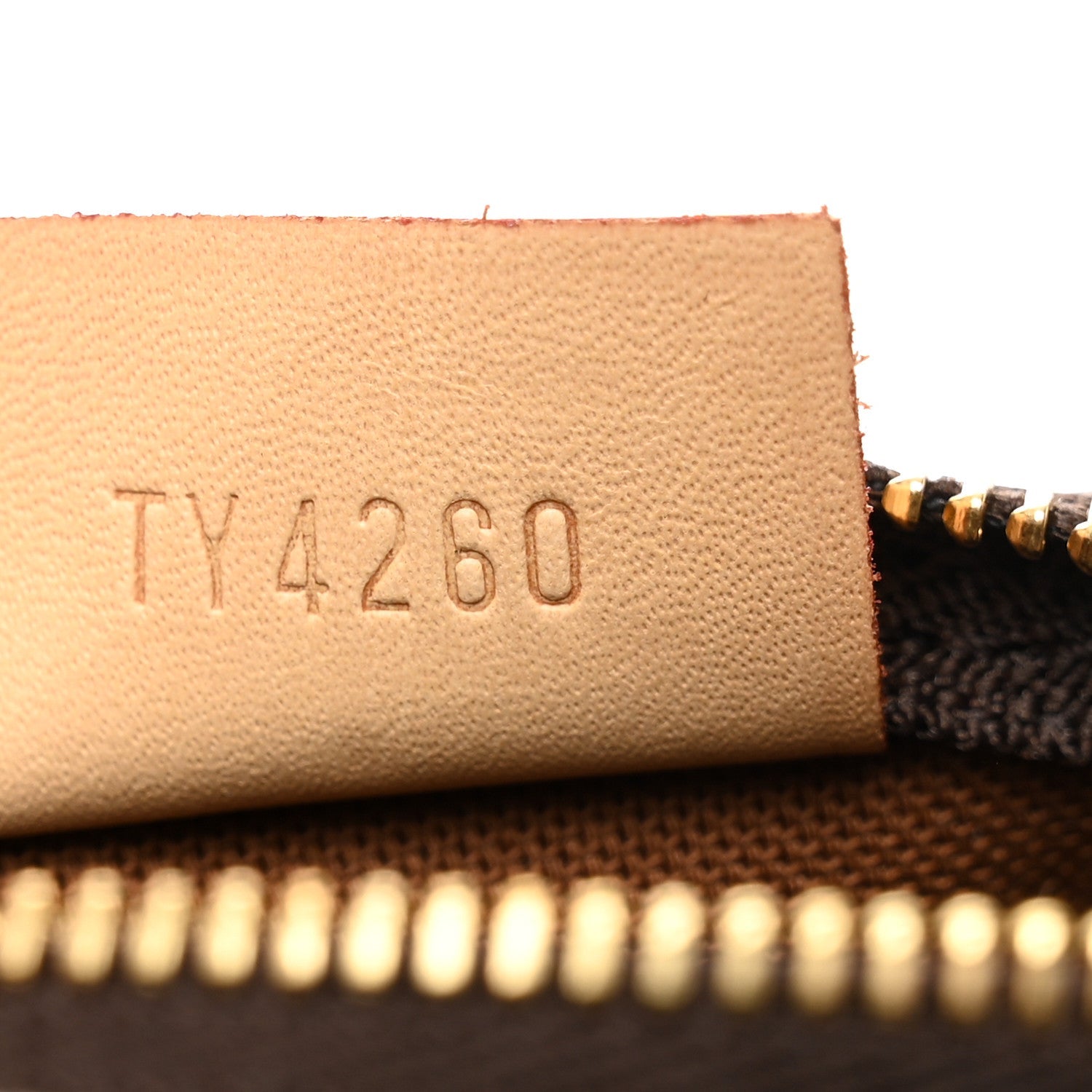 Monogram Nano Speedy