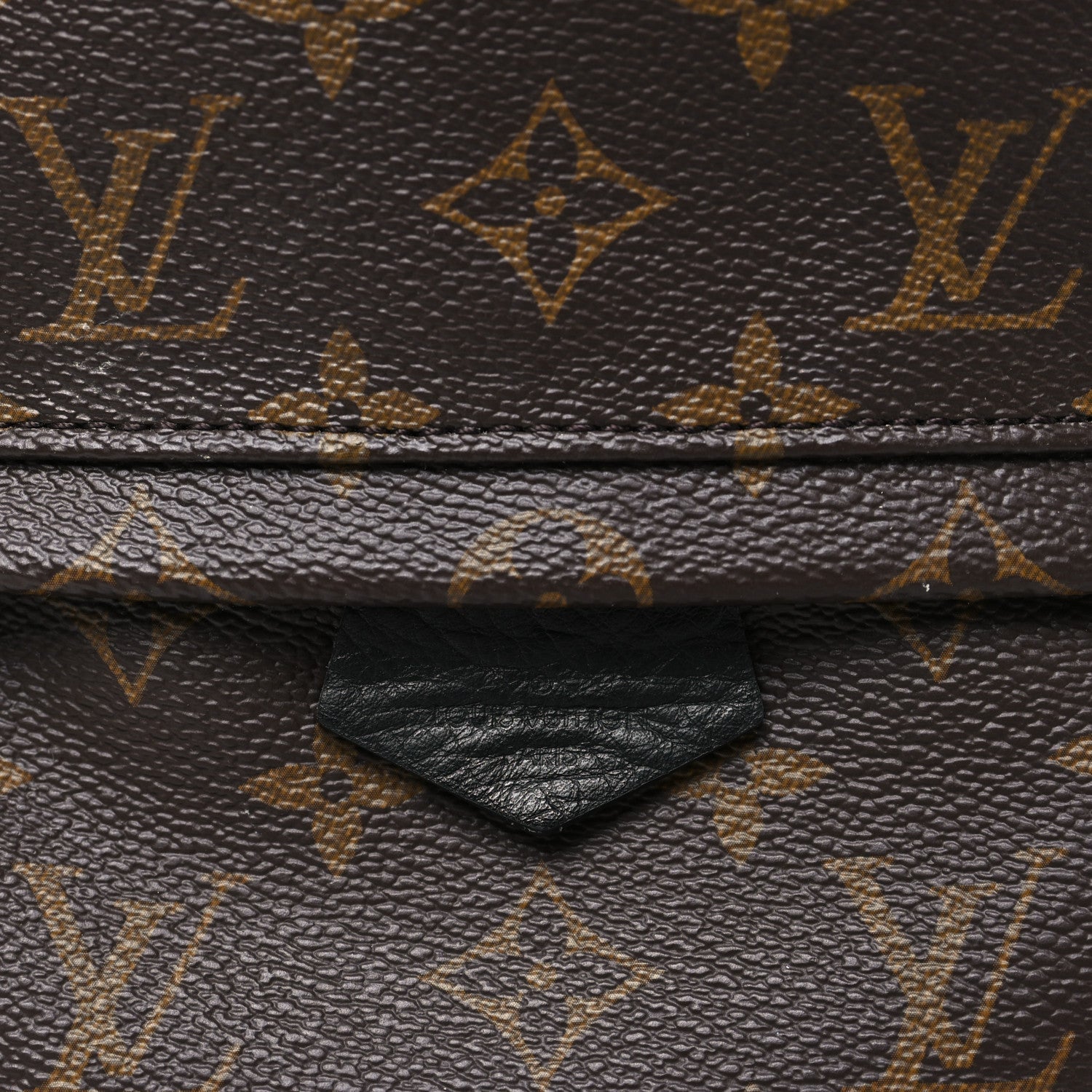 Monogram Palm Springs Backpack PM