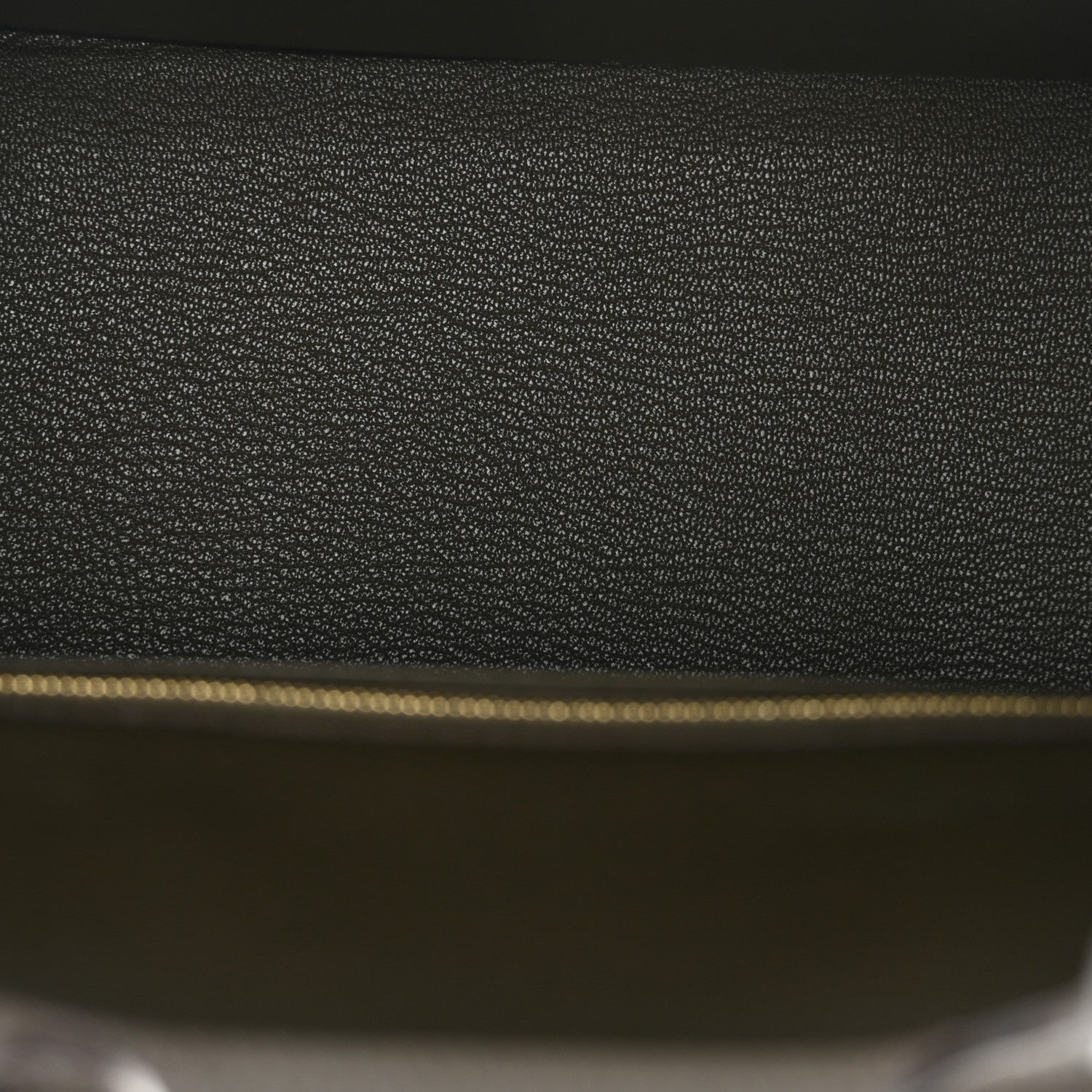Togo Birkin 25 Eucalyptus
