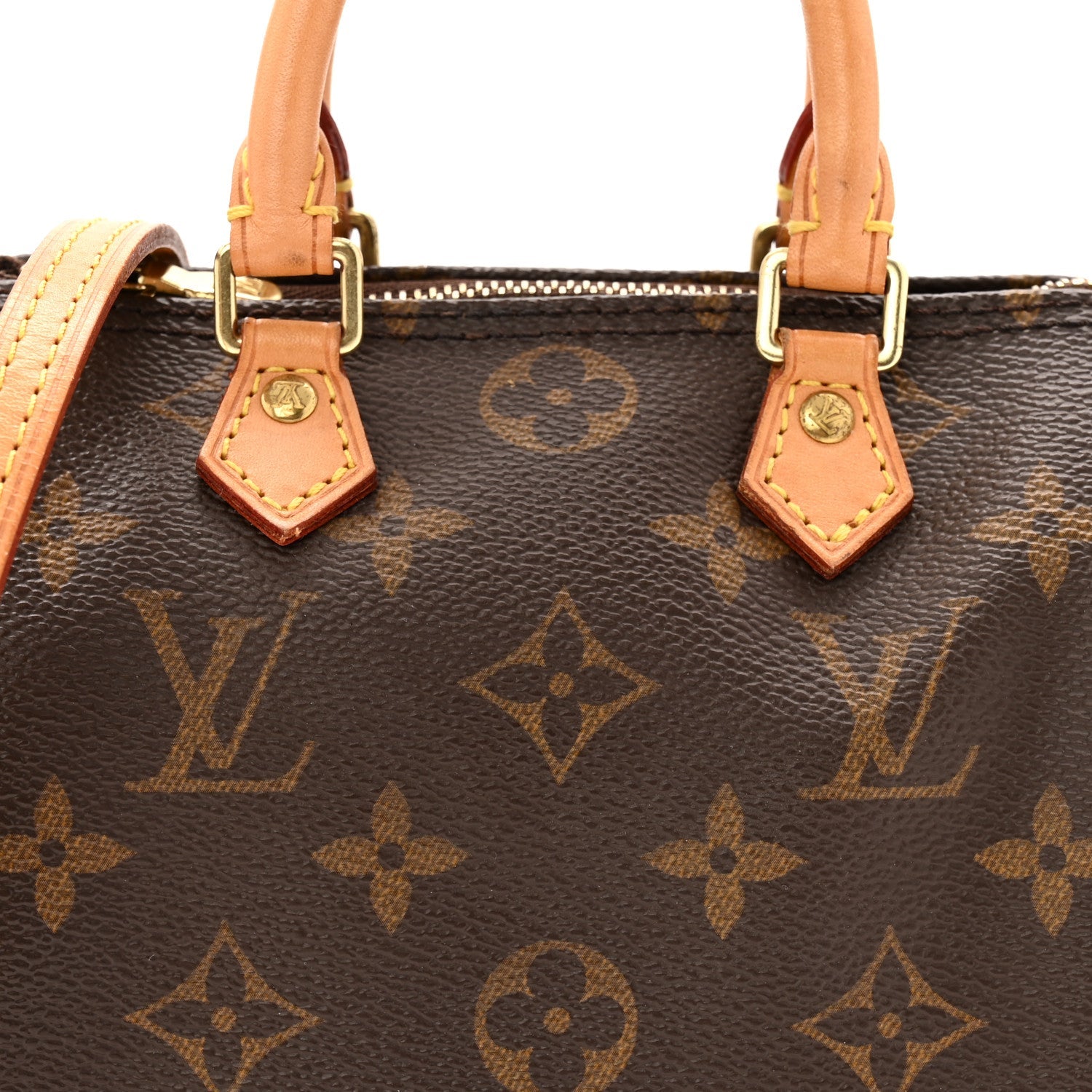 Monogram Nano Speedy