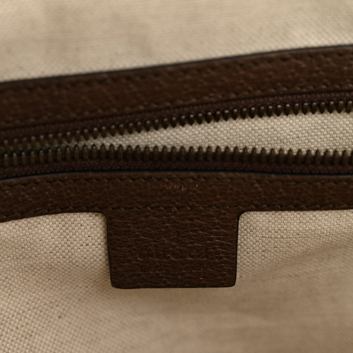 GG Supreme Monogram Medium Ophidia Day Backpack Brown
