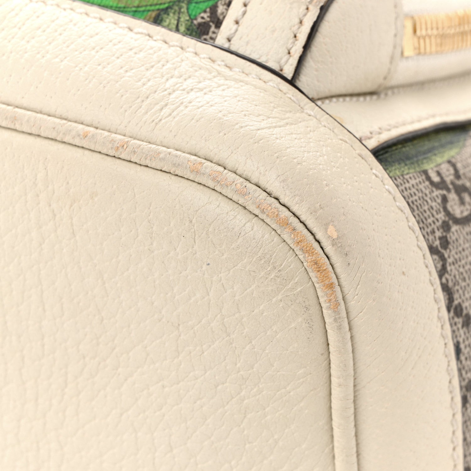 GG Supreme Monogram Flora Web Small Ophidia Day Backpack White