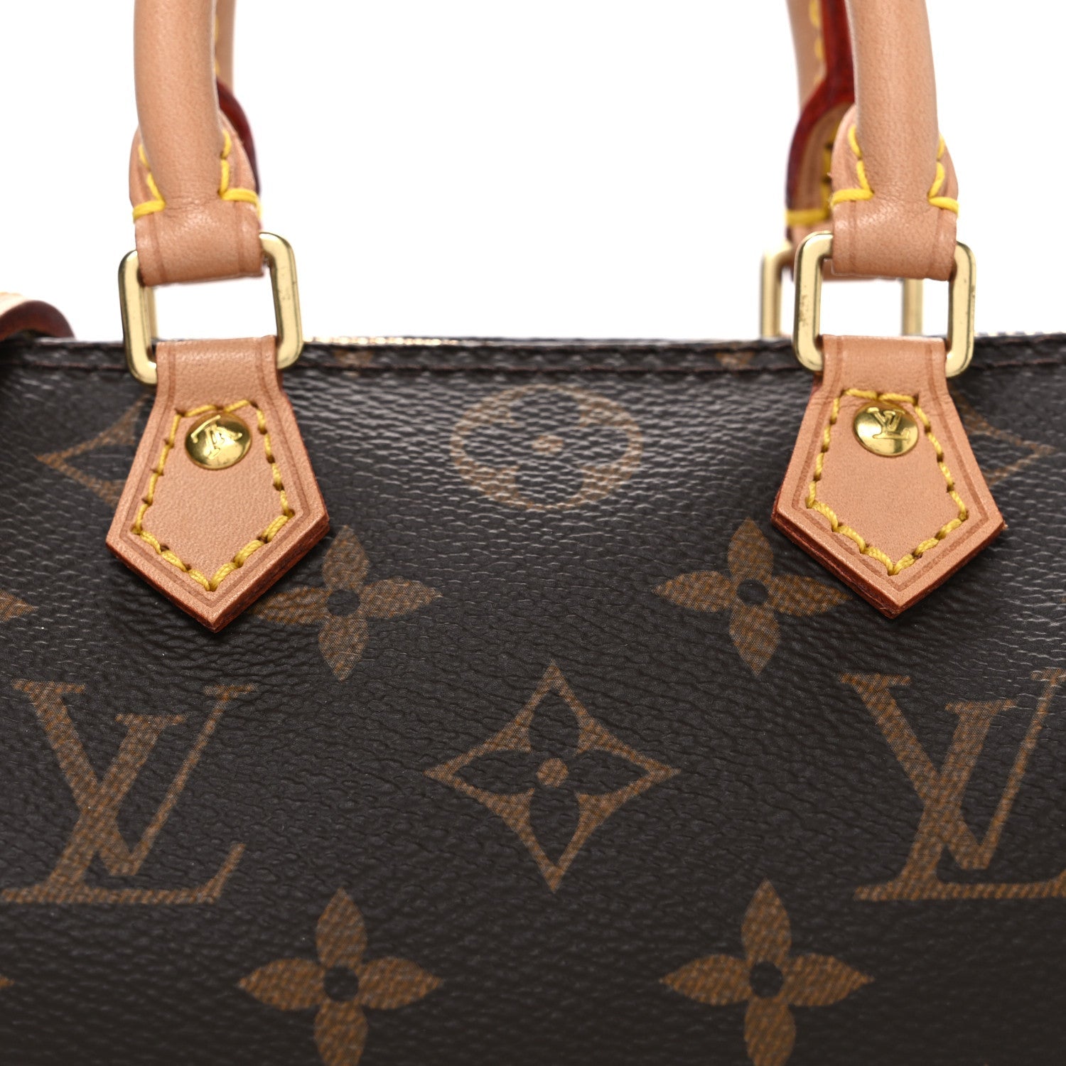 Monogram Nano Speedy