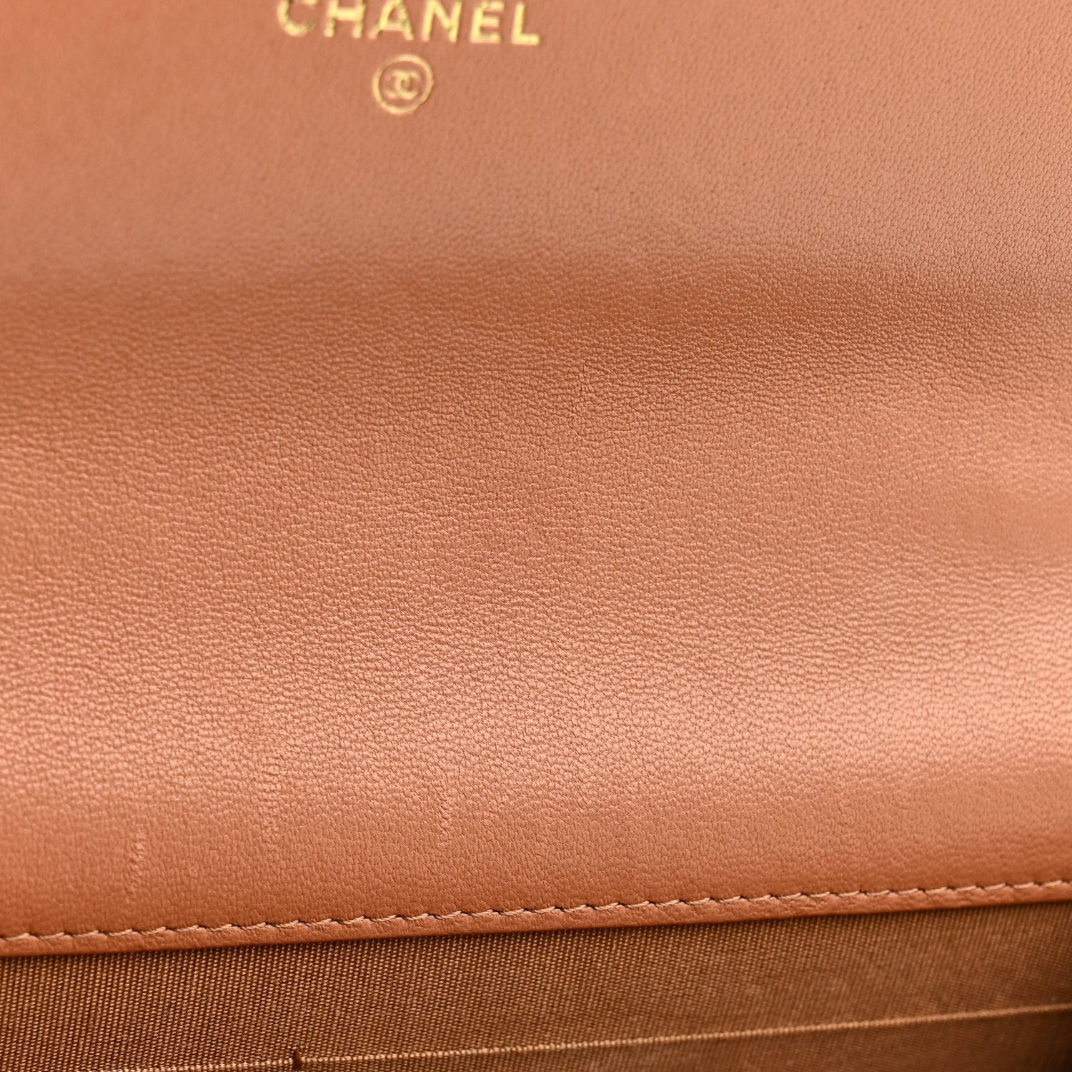 Lambskin Quilted Chanel 19 Wallet On Chain WOC Brown