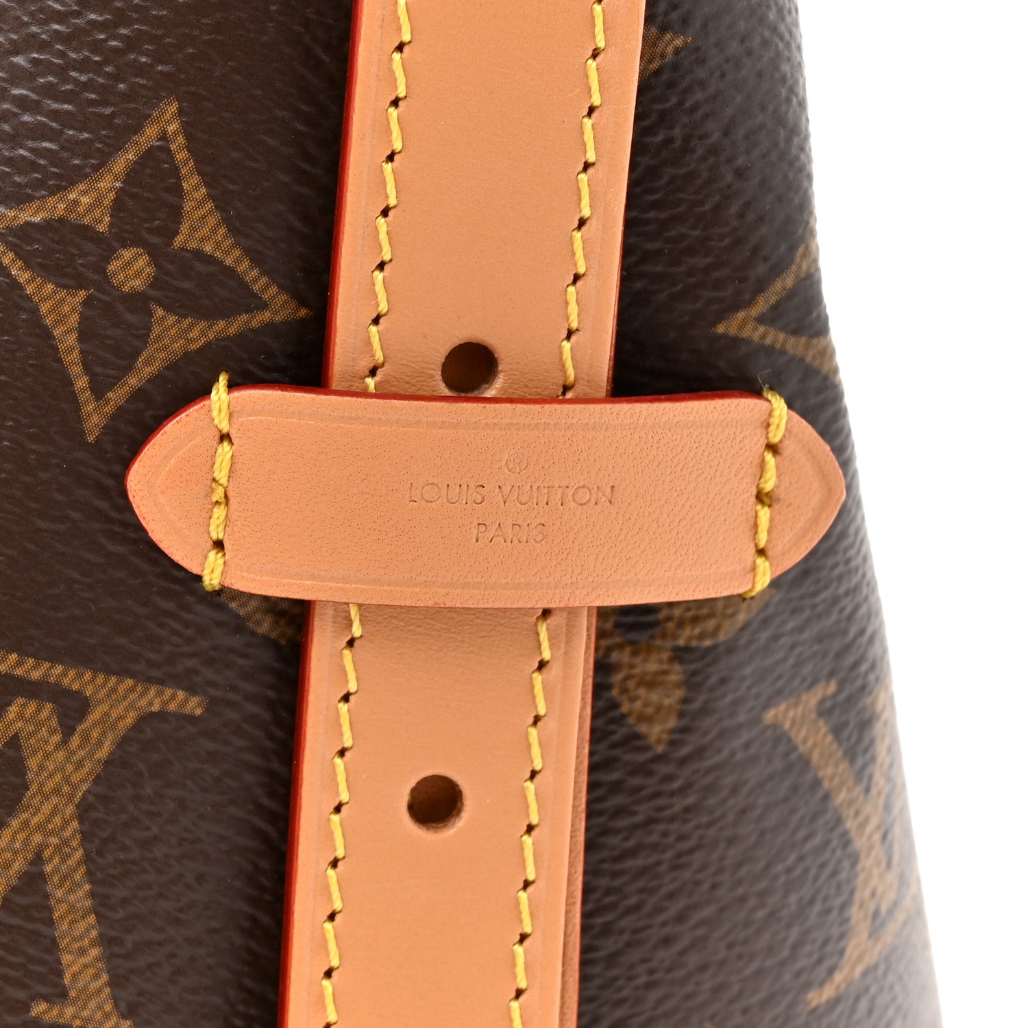 Monogram Carryall PM