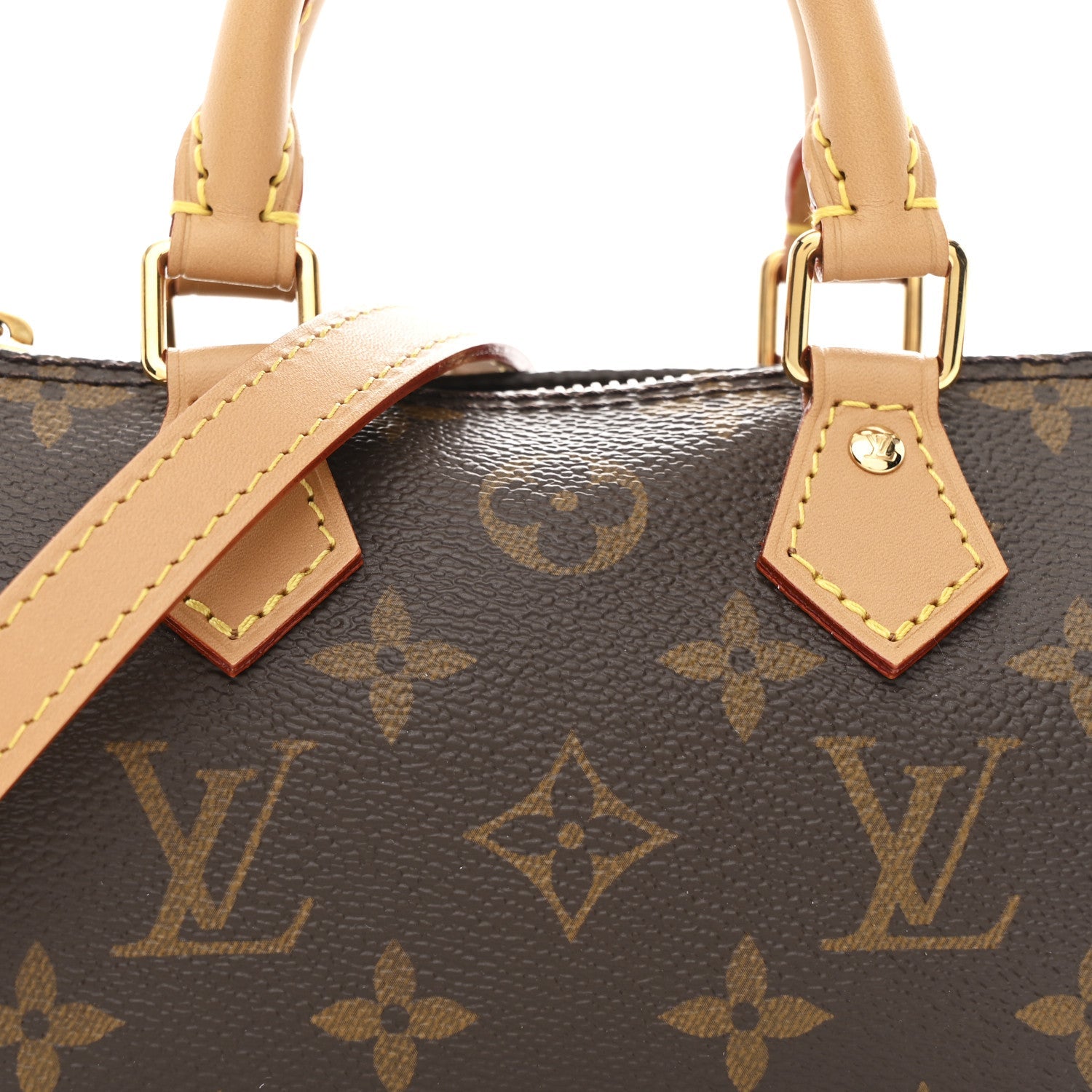 Monogram Nano Speedy Bandouliere