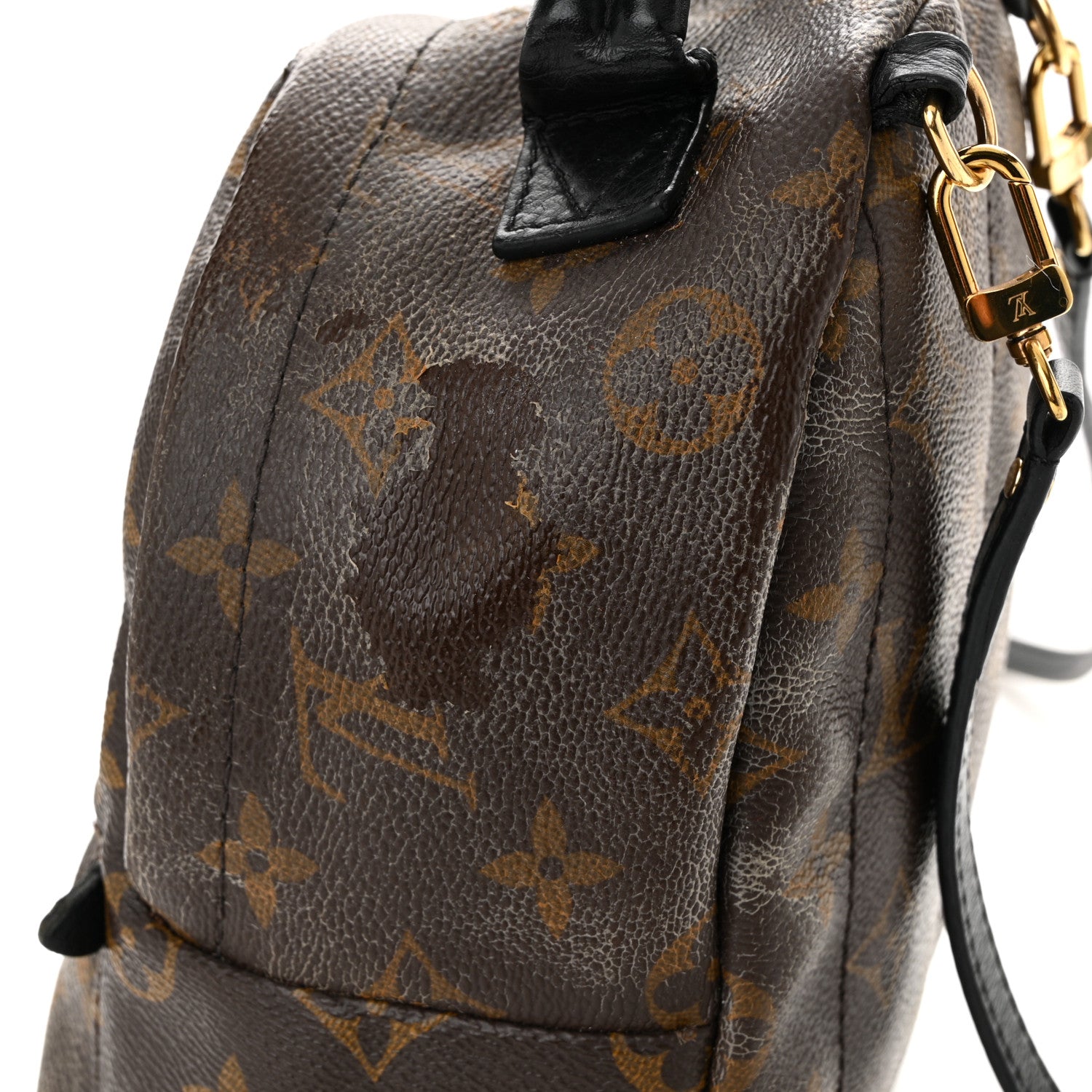 Monogram Palm Springs Backpack Mini