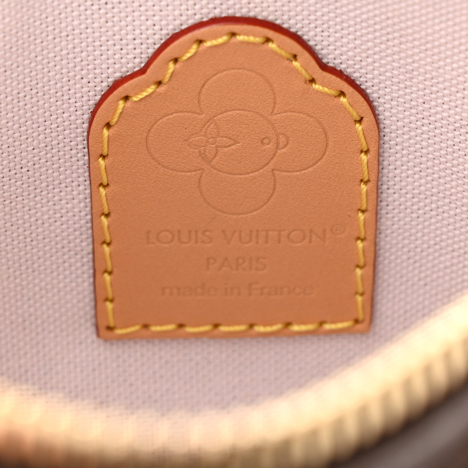 Monogram Vivienne Nano Speedy