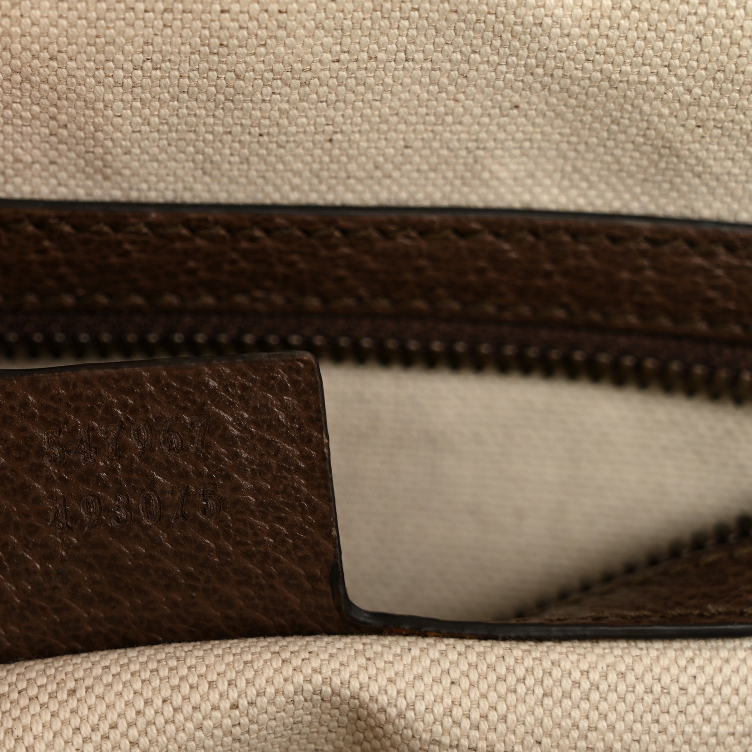 GG Supreme Monogram Medium Ophidia Day Backpack Brown