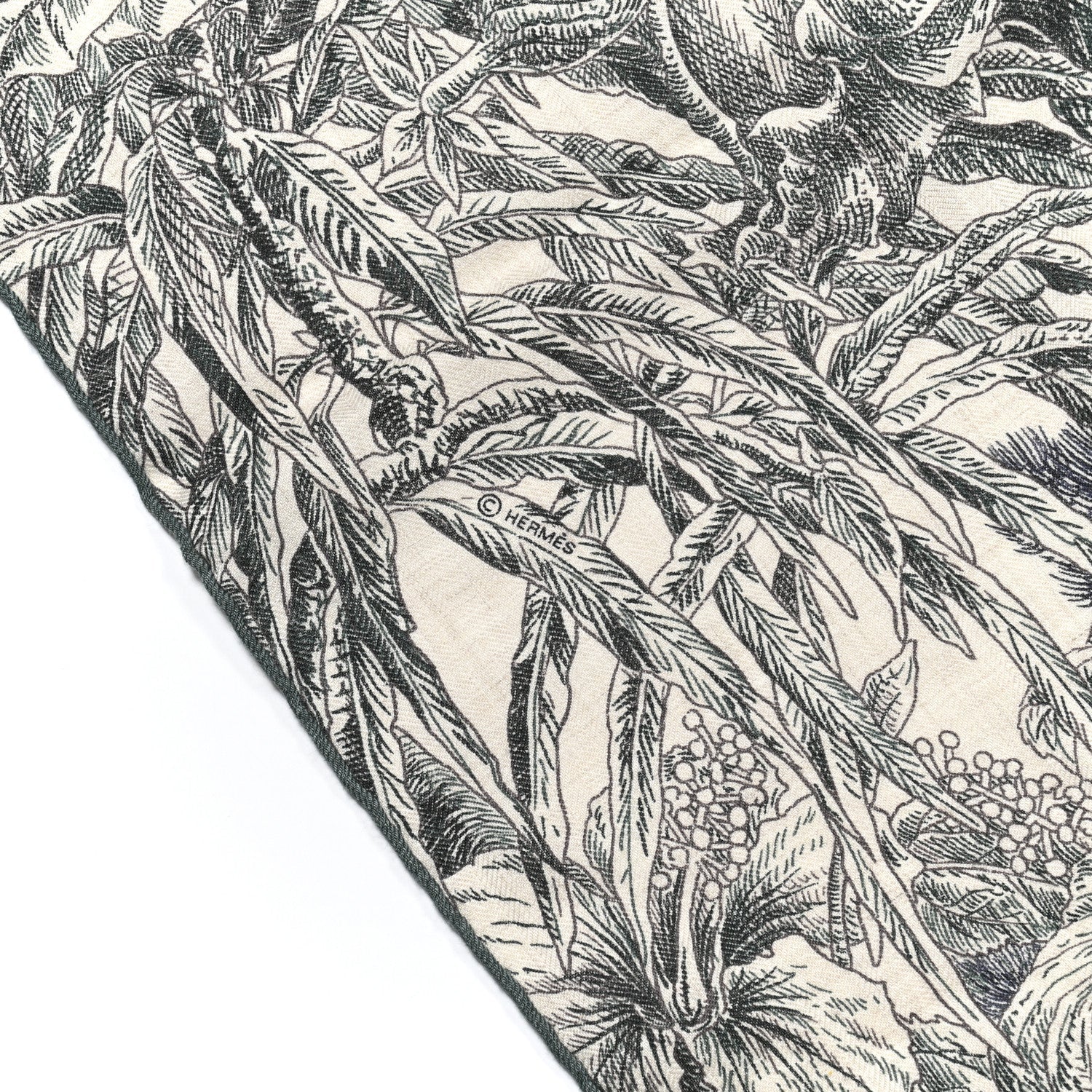 Cashmere Silk All 'Orto Botanico Di Palermo Shawl 140 Vert Loden Naturel Encre
