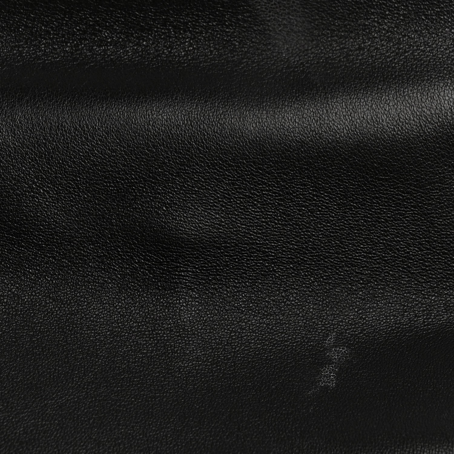 Goatskin Quilted Medium Chanel 19 Flap Black