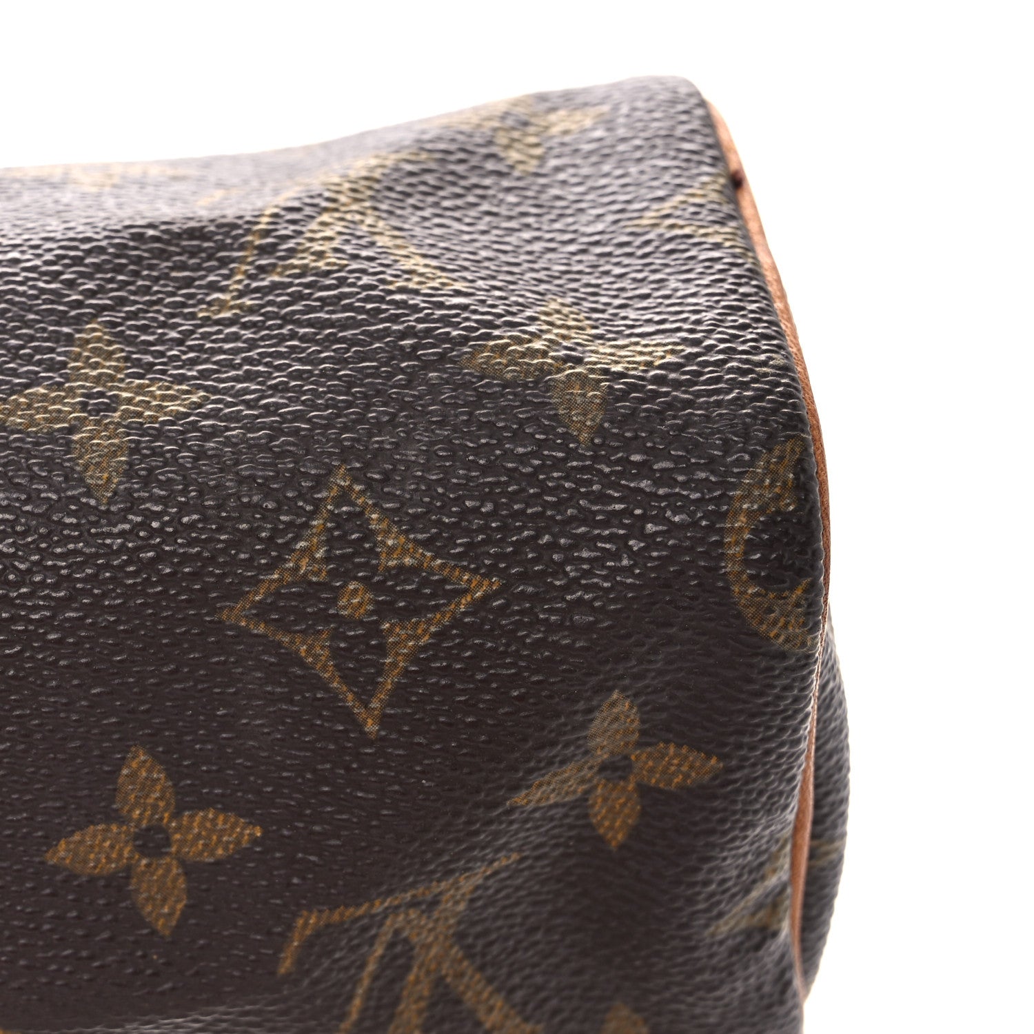 Monogram Mini Sac HL Speedy