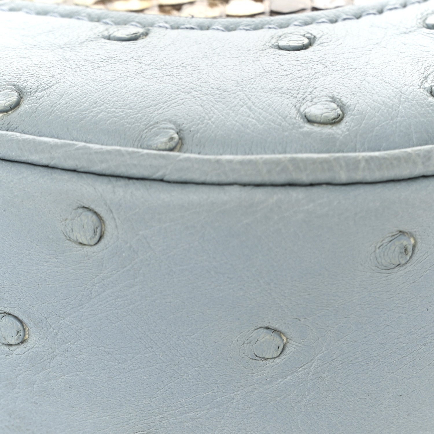Snakeskin Ostrich Calfskin Small Jackie 1961 Hobo Blue Multicolor