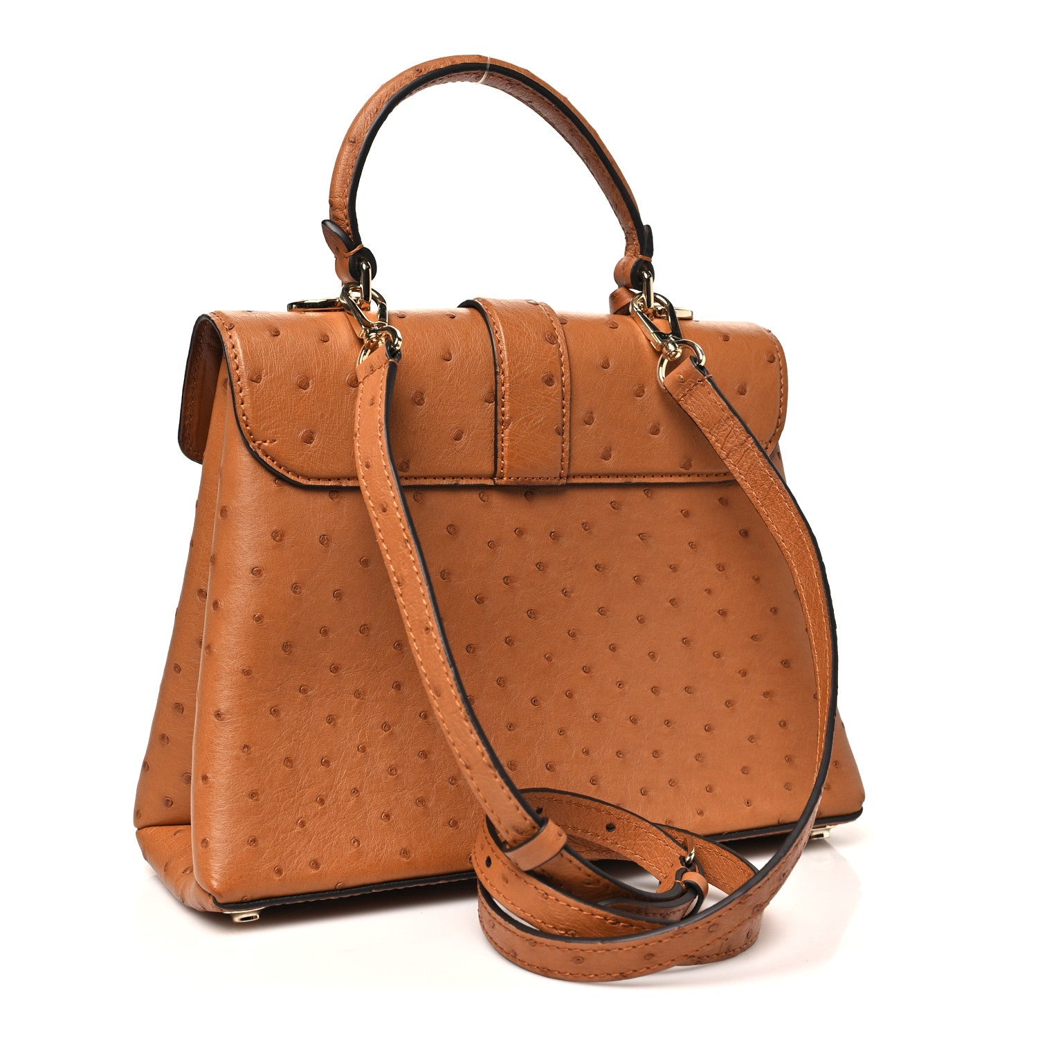 Ostrich Rose Des Vents PM Cognac