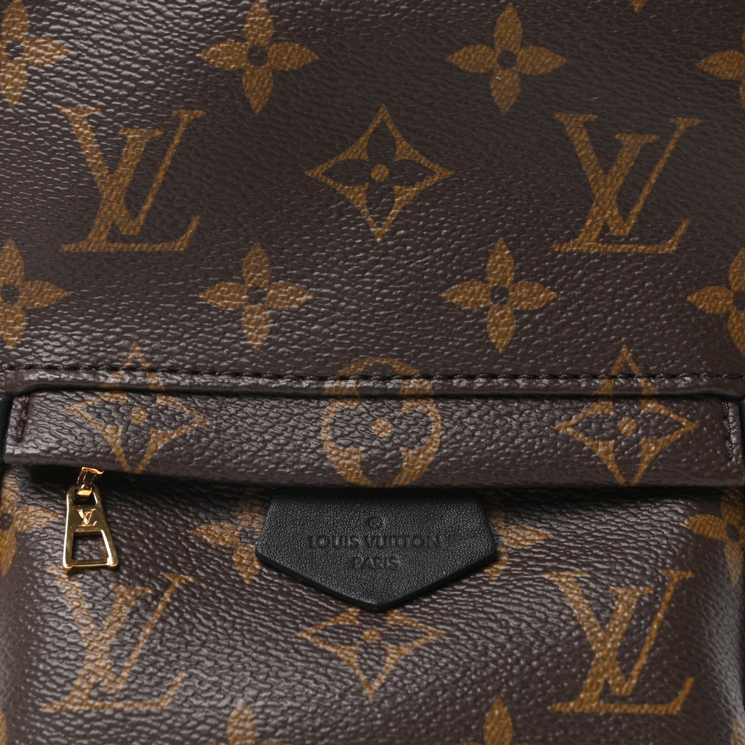 Monogram Palm Springs Backpack Mini