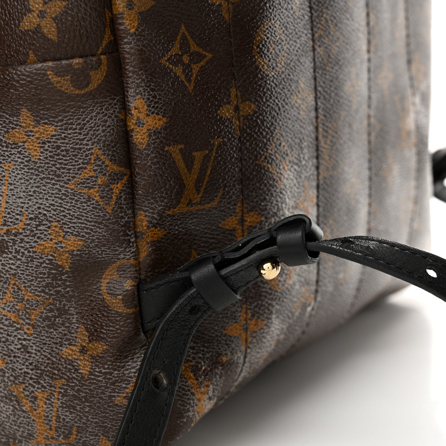 Monogram Palm Springs Backpack MM