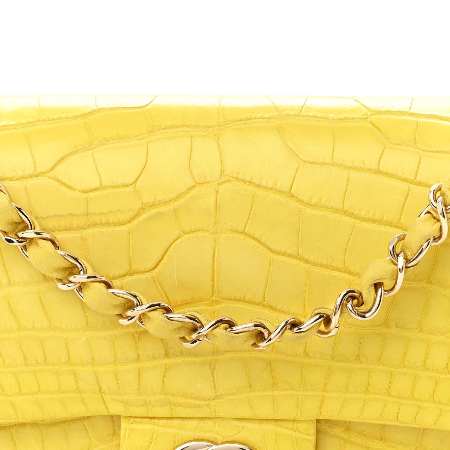 Alligator Medium Double Flap Yellow