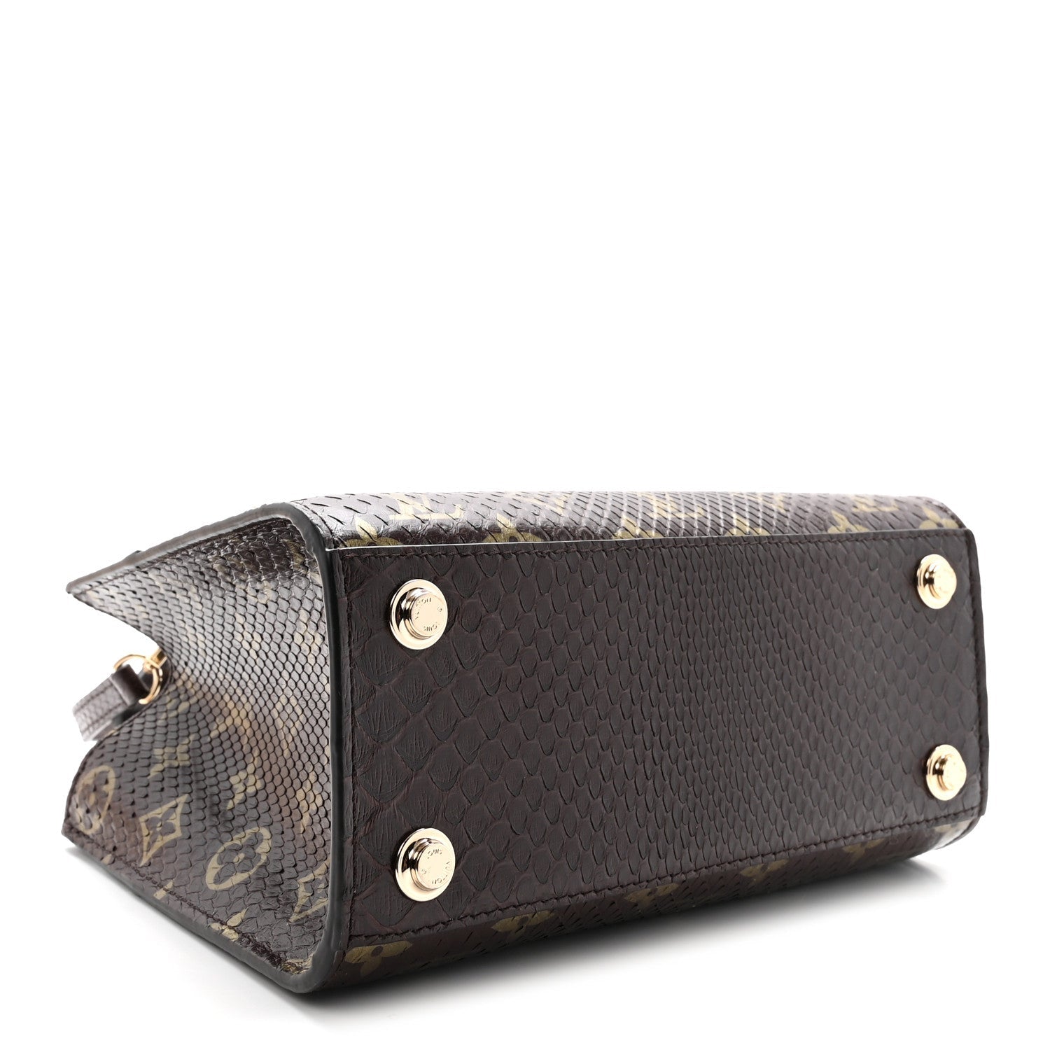 Snakeskin Monogram City Steamer Mini Brown