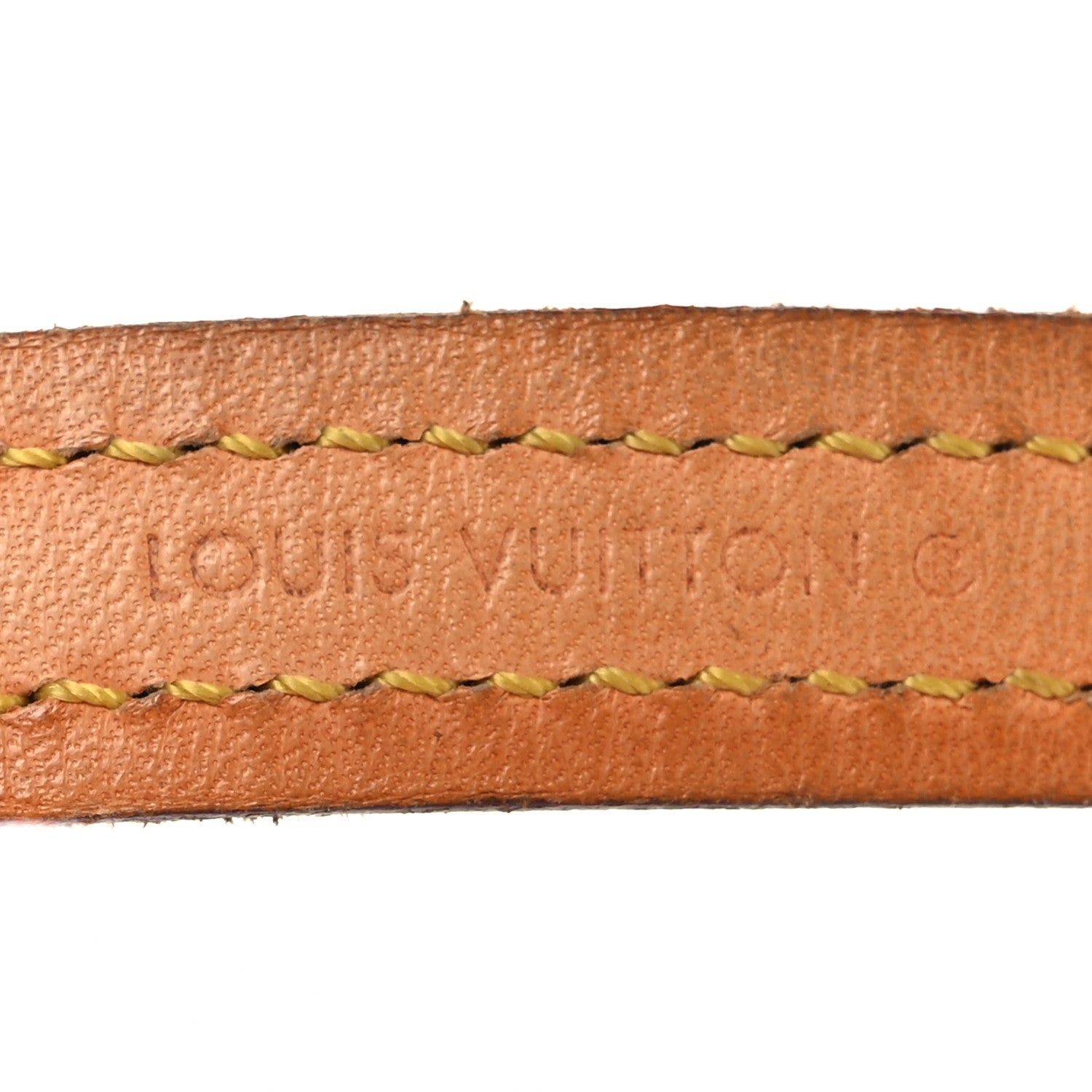 Monogram Baxter Dog Leash MM