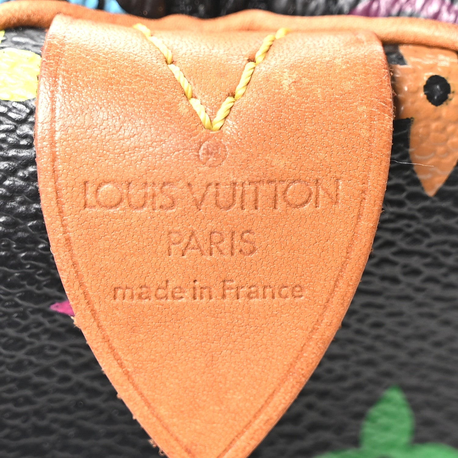 Monogram Multicolor Speedy 30 Black