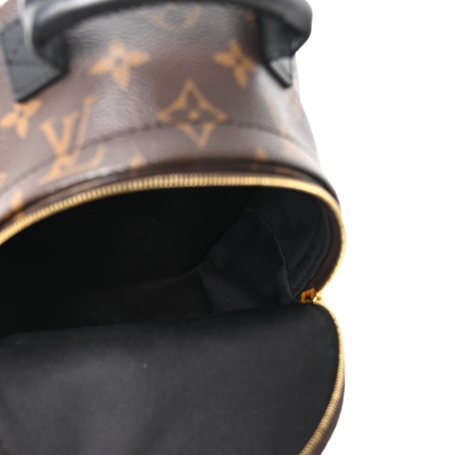Monogram Palm Springs Backpack Mini