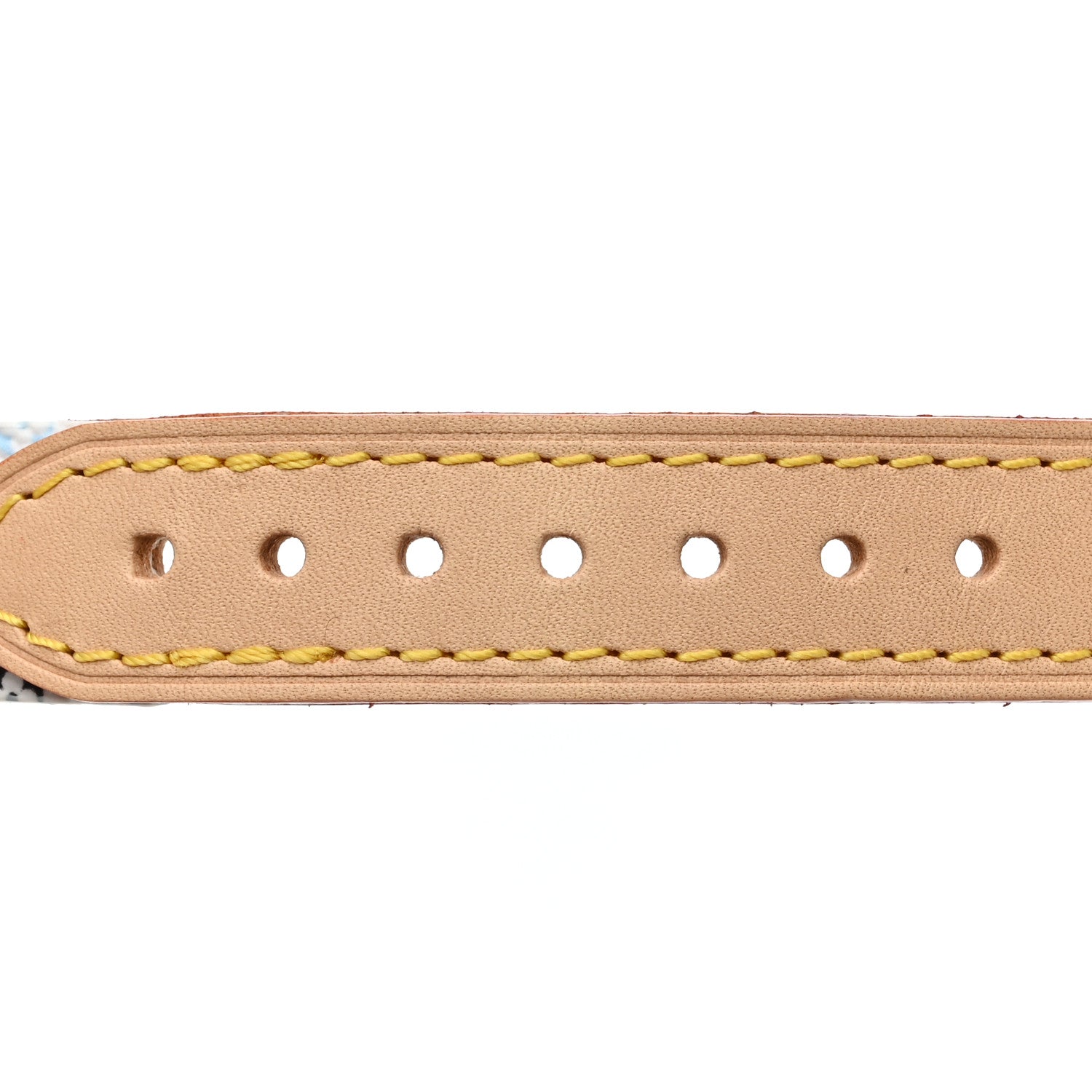 LV X TM Monogram Multicolor Dog Collar PM White