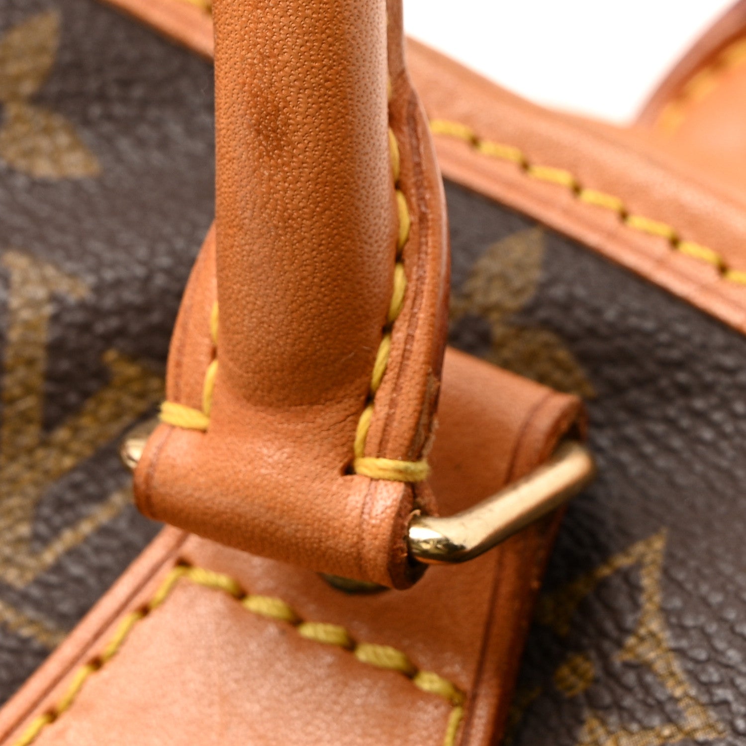 Monogram Garment Bag