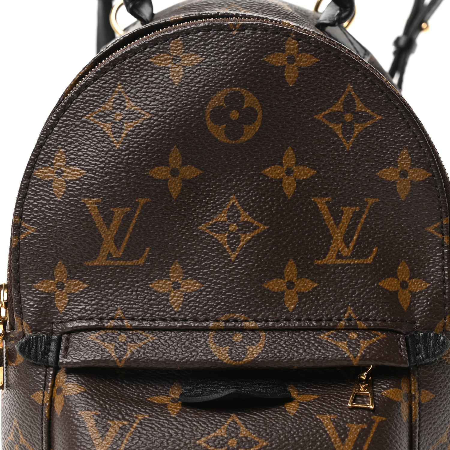 Monogram Palm Springs Backpack Mini