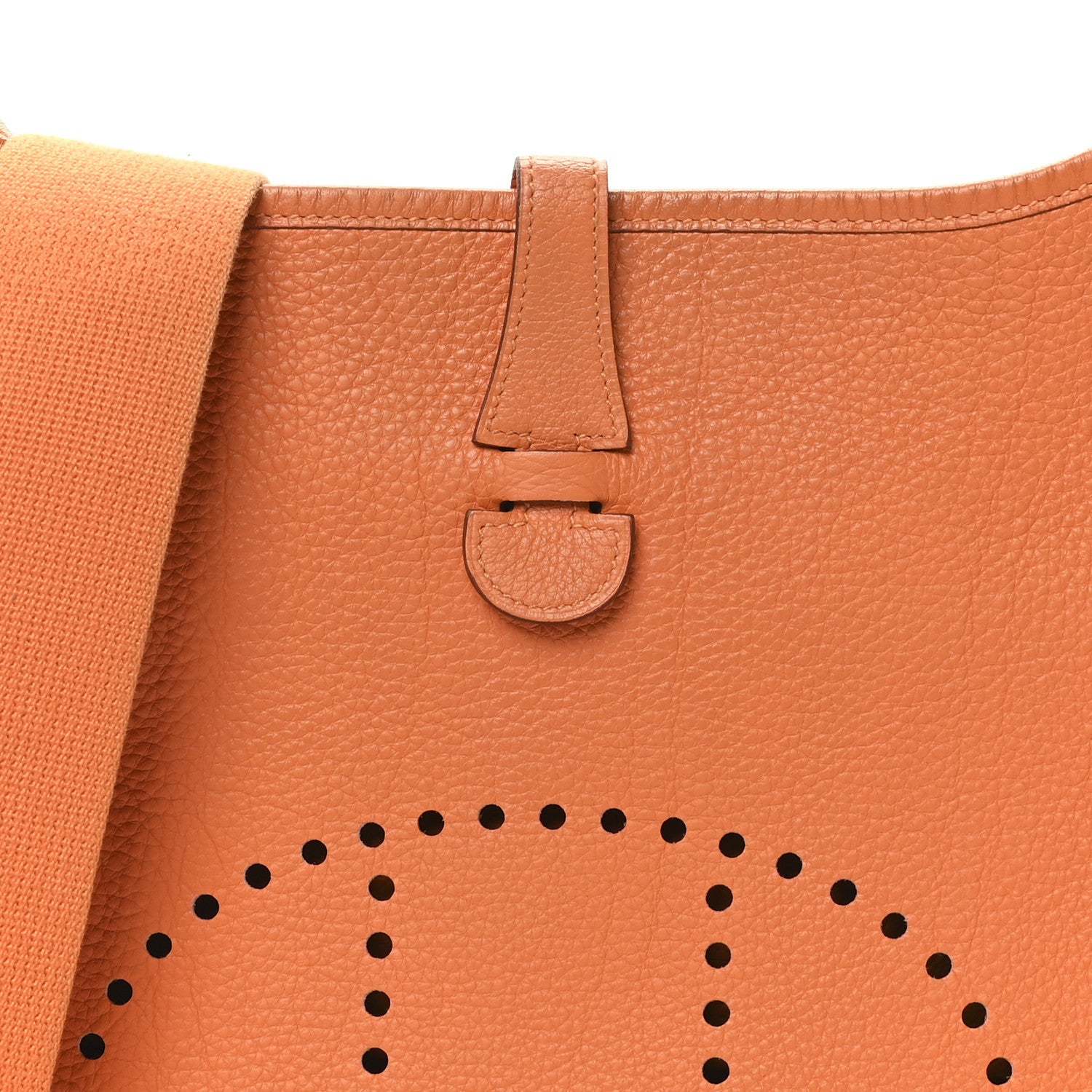 Taurillon Clemence Evelyne PM Orange