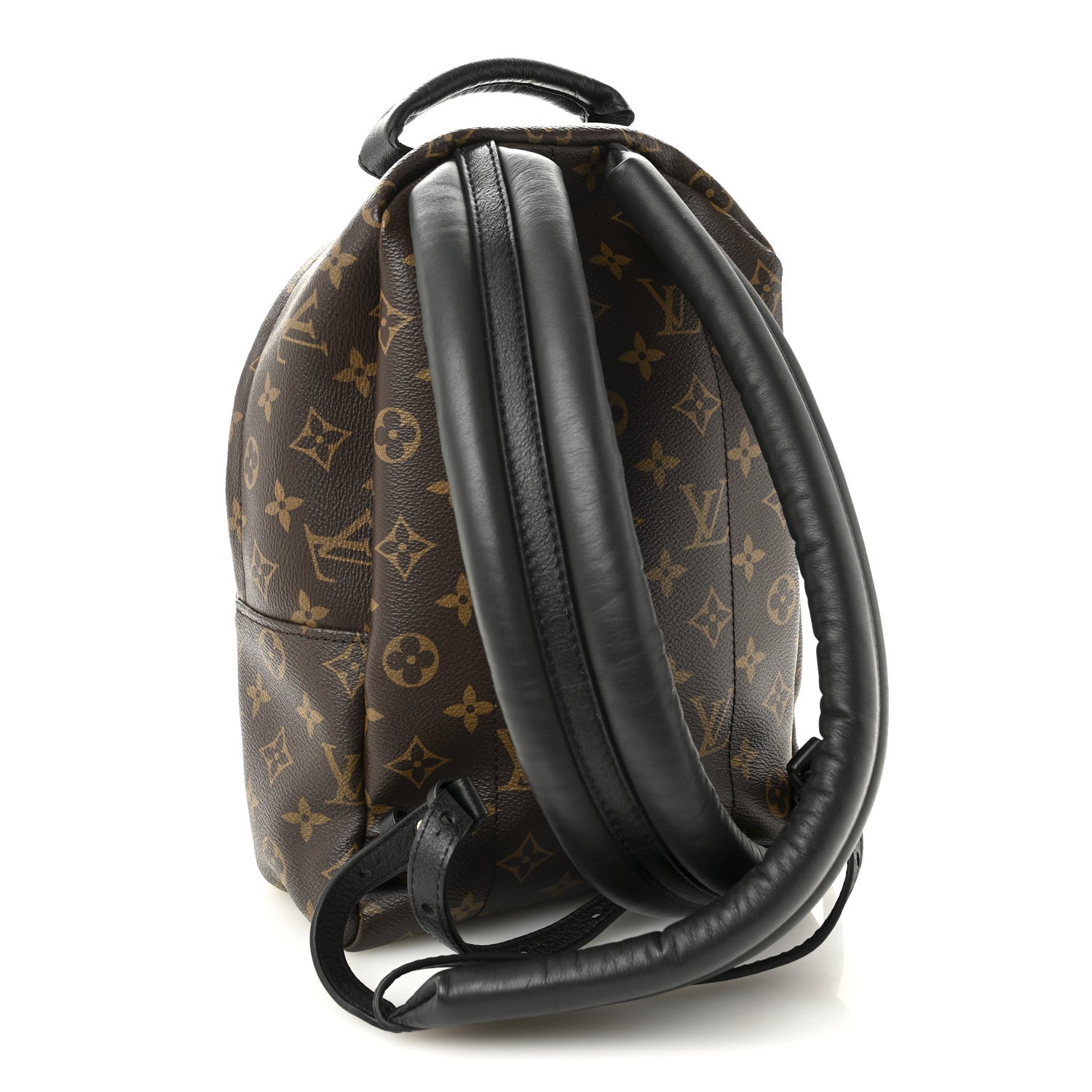 Monogram Palm Springs Backpack PM