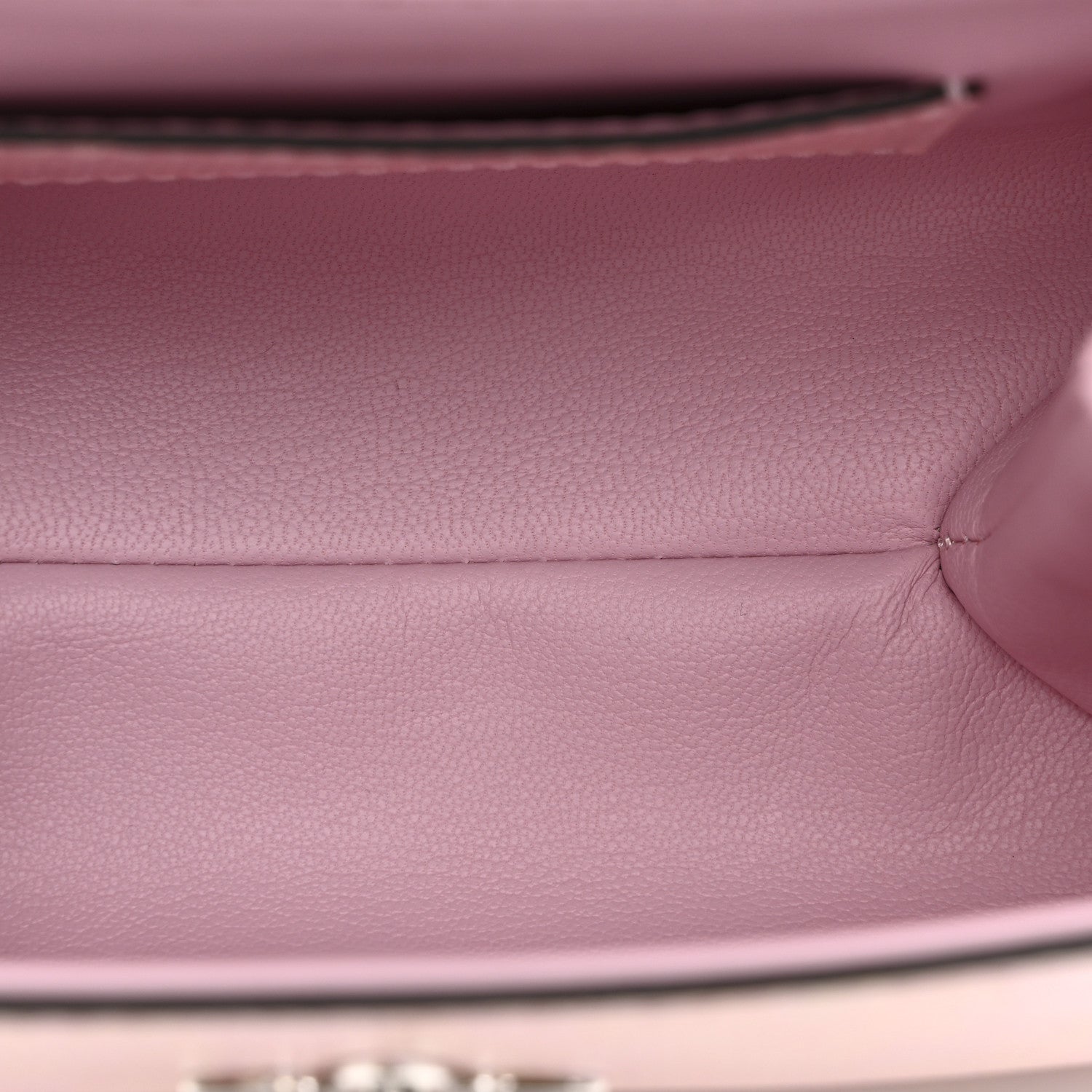 Iridescent Lizard Rose Des Vents Mini Pink