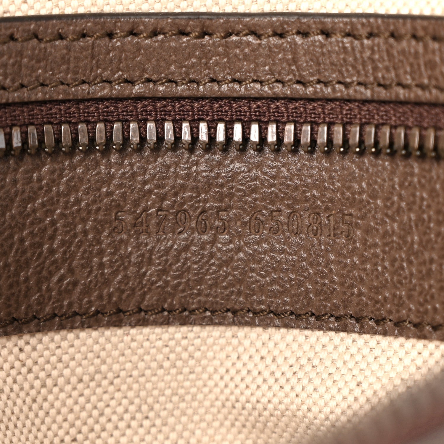 GG Supreme Monogram Calfskin Web Small Ophidia Day BackpacK Beige Ebony New Acero