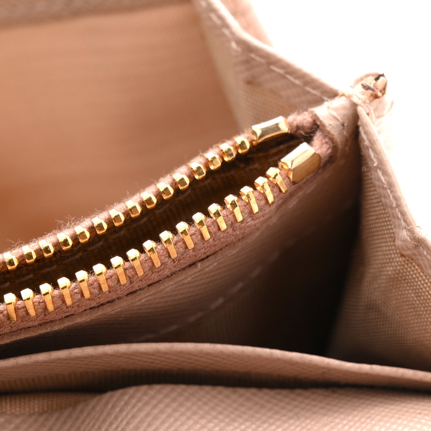 Saffiano Fiocco Bow Continental Wallet Cammeo