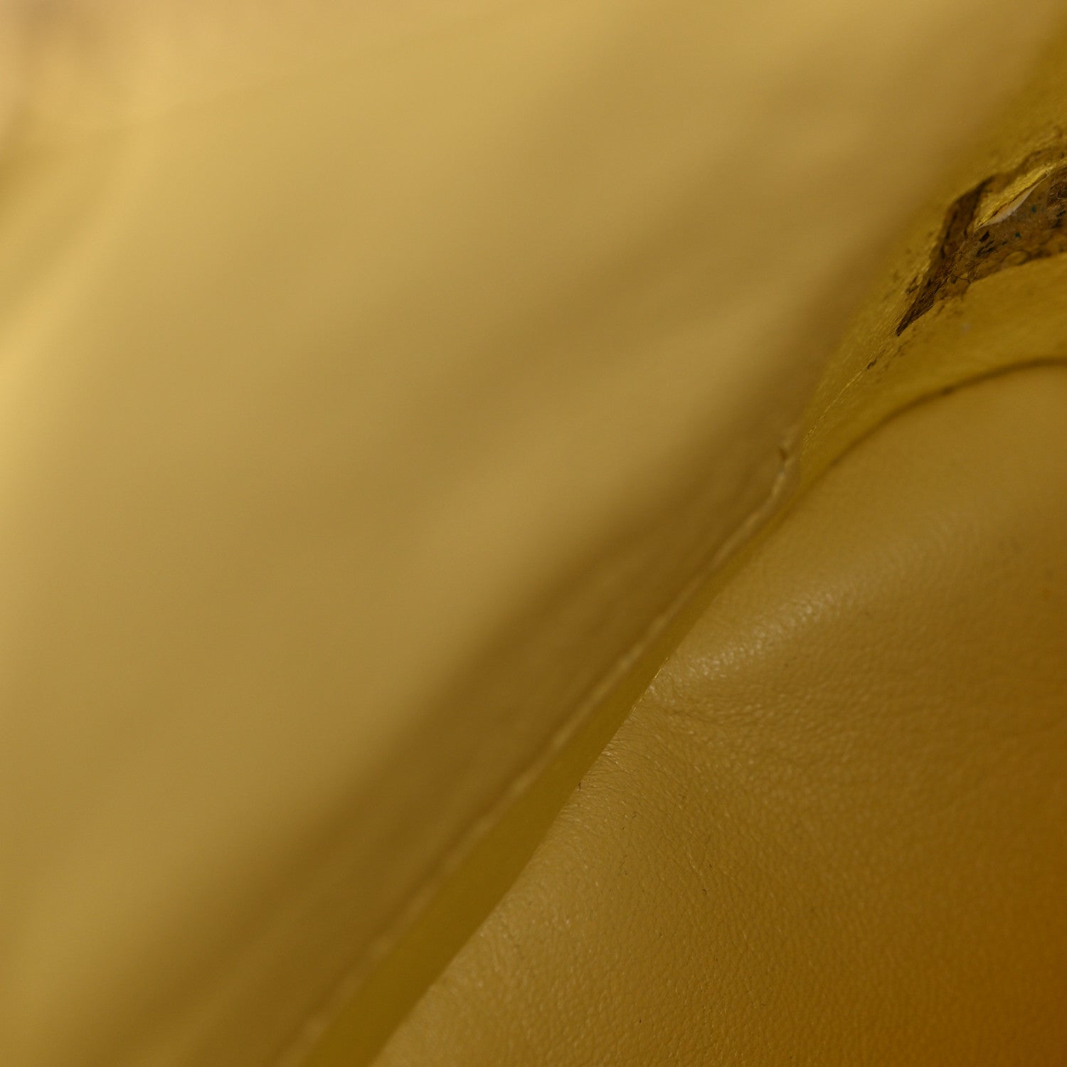 Snakeskin Medium Gabrielle Hobo Yellow Multicolor