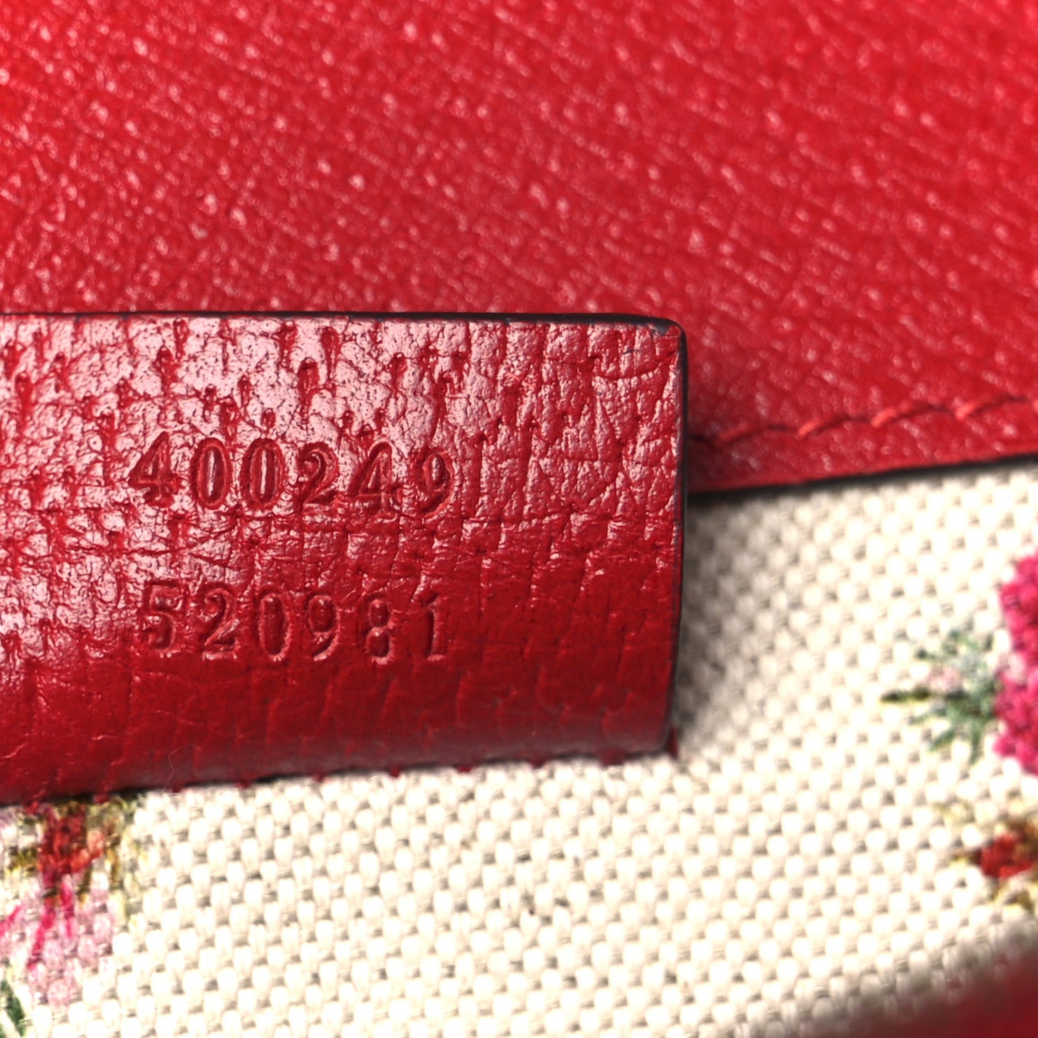 Calfskin Web Floral Embroidered Small Dionysus Shoulder Bag Hibiscus Red