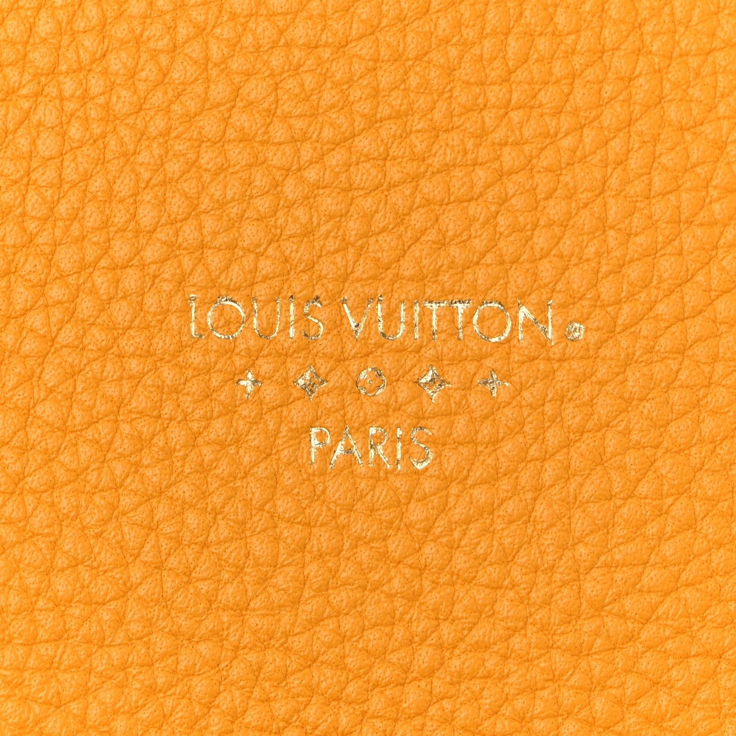 Grained Calfskin LV Pont 9 Soft PM Sunbeam