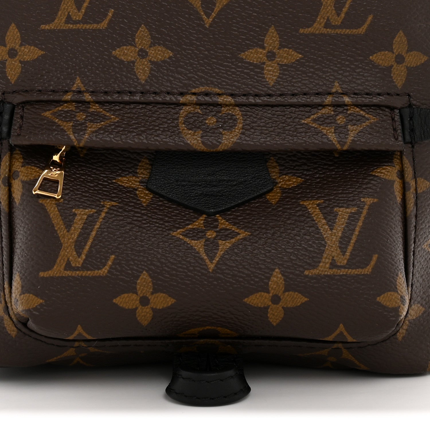 Monogram Palm Springs Backpack Mini