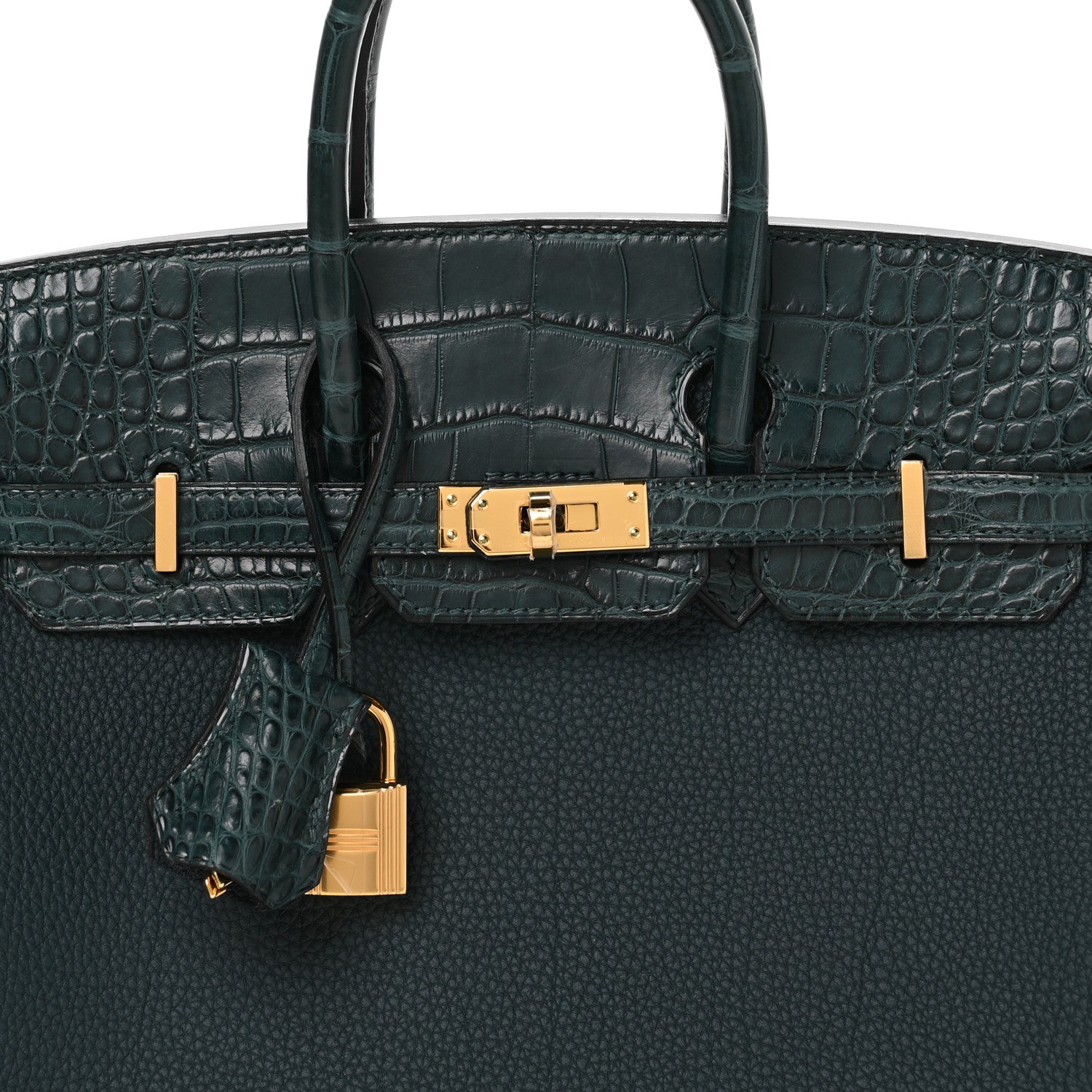Togo Matte Alligator Birkin Touch 25 Vert Cypress